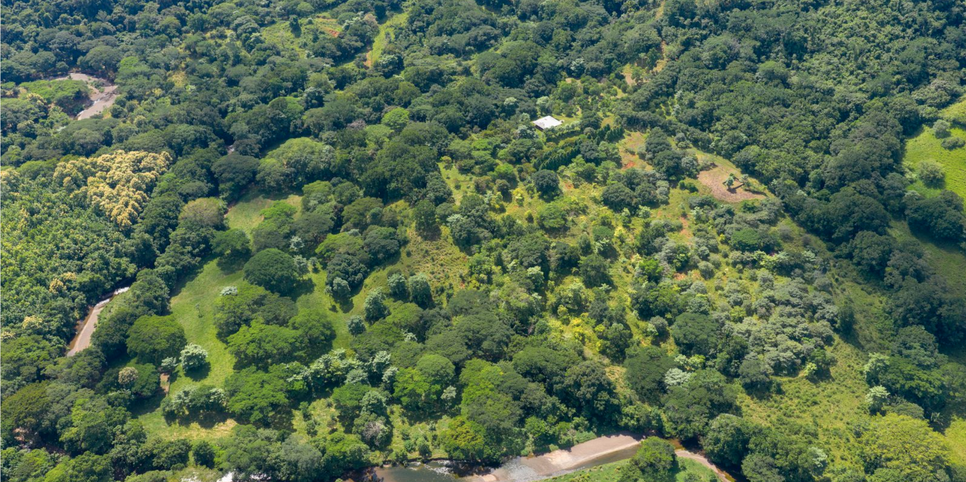 Playa Coyote, Guanacaste, CR, ,Land,For Sale,1949754