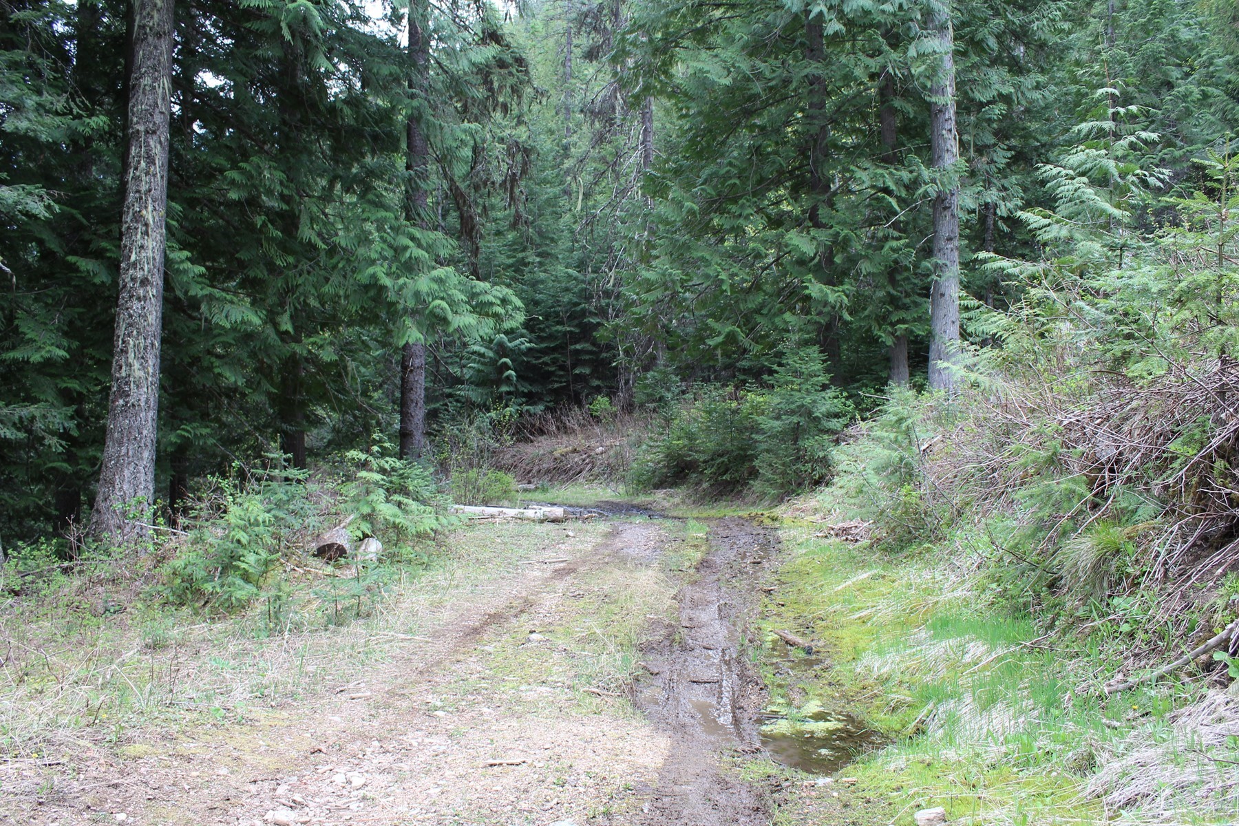  19a Daisy Gulch Road - 物件實景