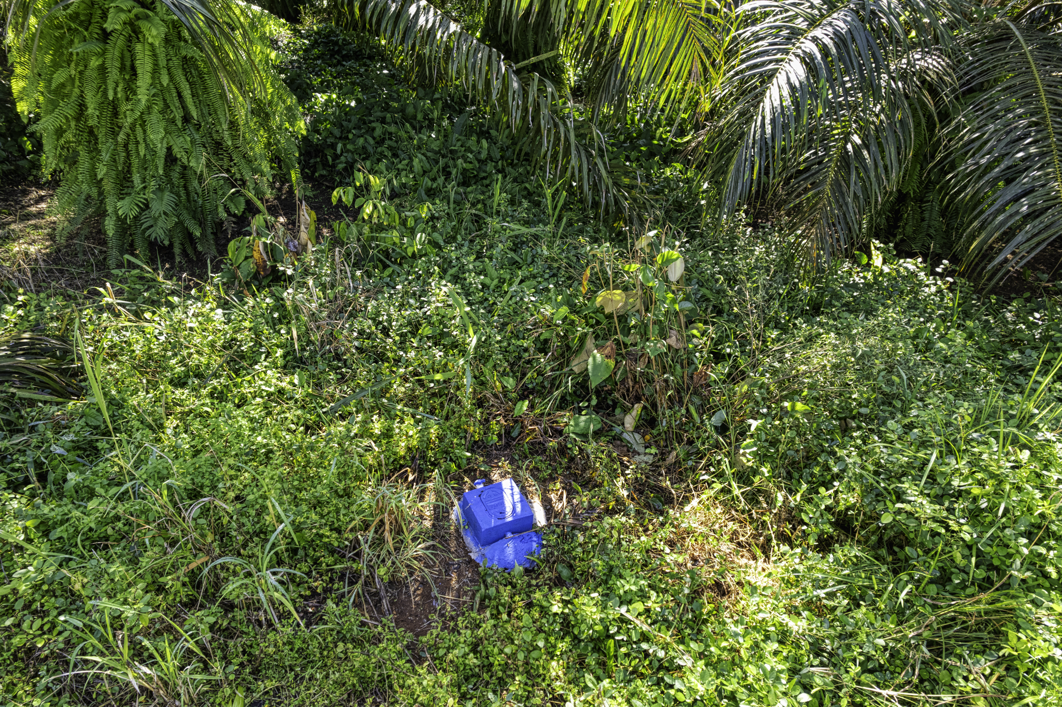 Portalon, Dominical, Puntarenas, CR, ,Land,For Sale,Portalon,1586164