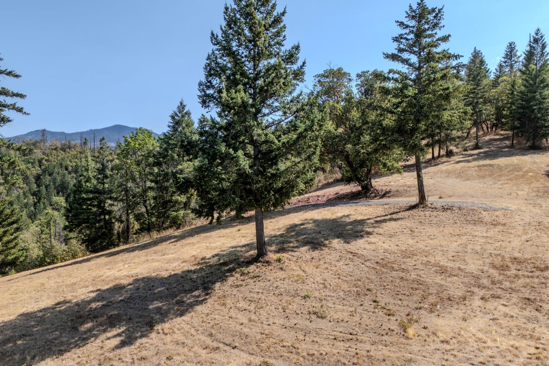  3587 S Stage Road #Lot 11 Medford, OR 97501 - 物件實景