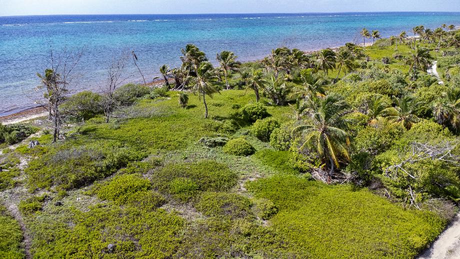 Malecon, Othón P. Blanco, Quintana Roo, 77976, Mexico, 1 Bedroom Bedrooms, ,Residential,For Sale,Malecon,1620113