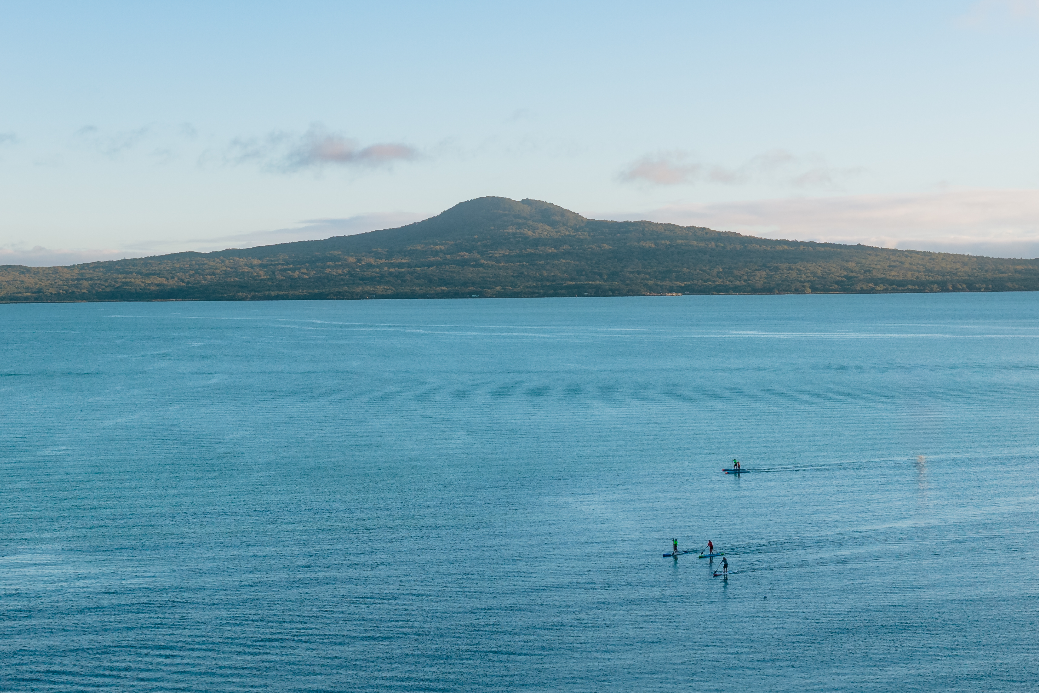  20 Springcombe Road, St Heliers - 物件實景