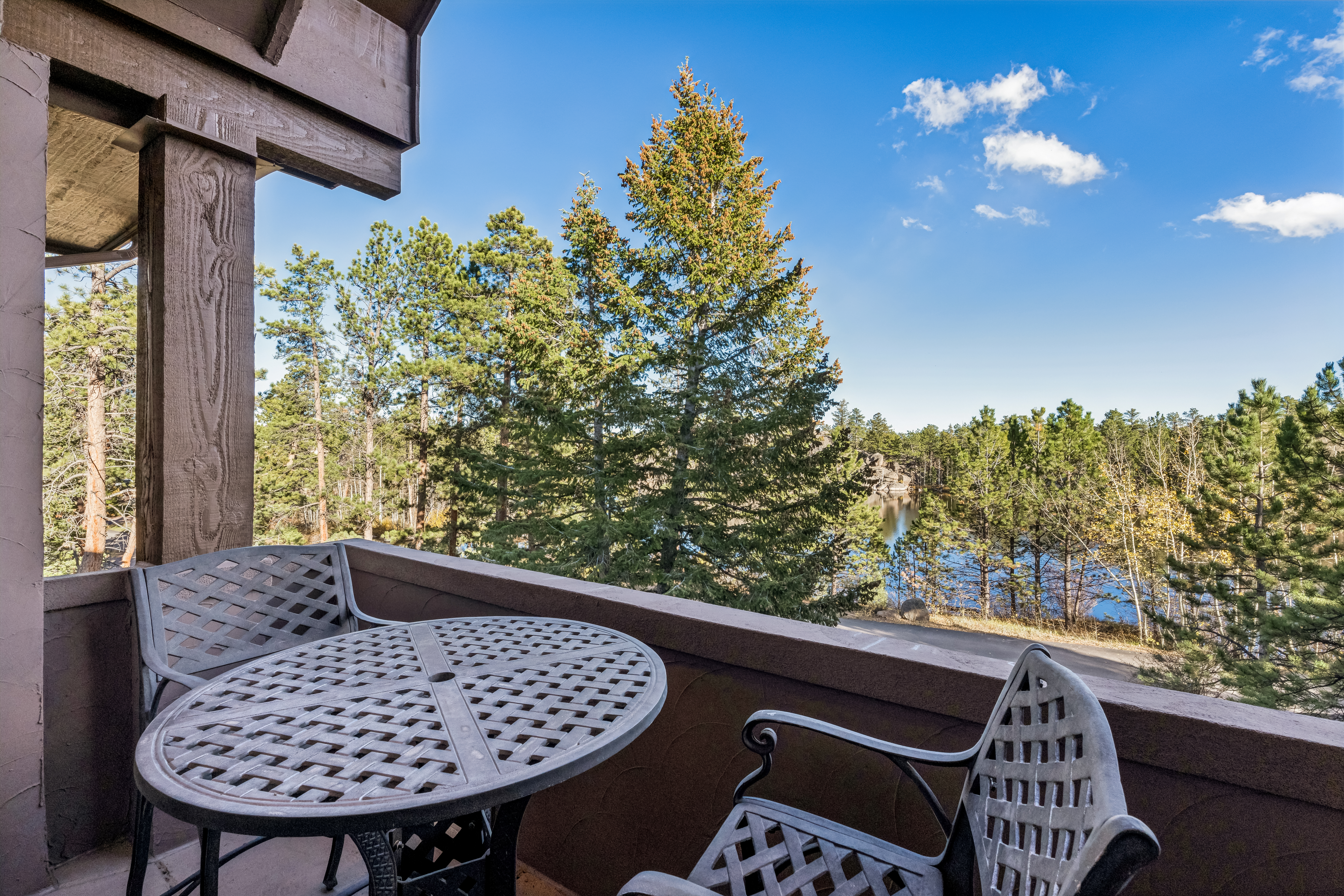  Lakeside Fox Acres Estate with Elevator, Sauna & Guest Apartment - 物件實景