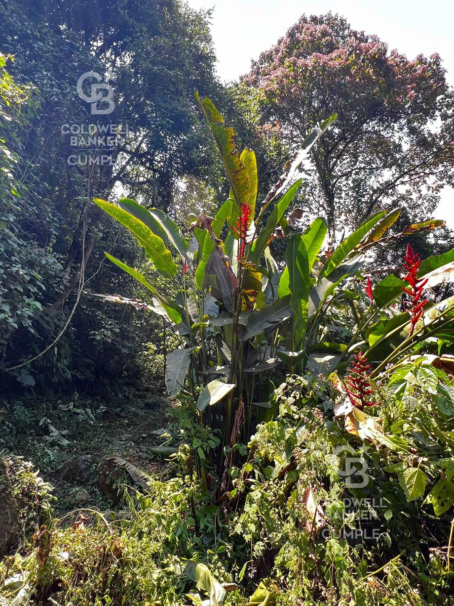 Tlalnelhuayocan, Veracruz de Ignacio de la Llave, 91230, Mexico, 1 Bedroom Bedrooms, ,Residential,For Sale,1829340