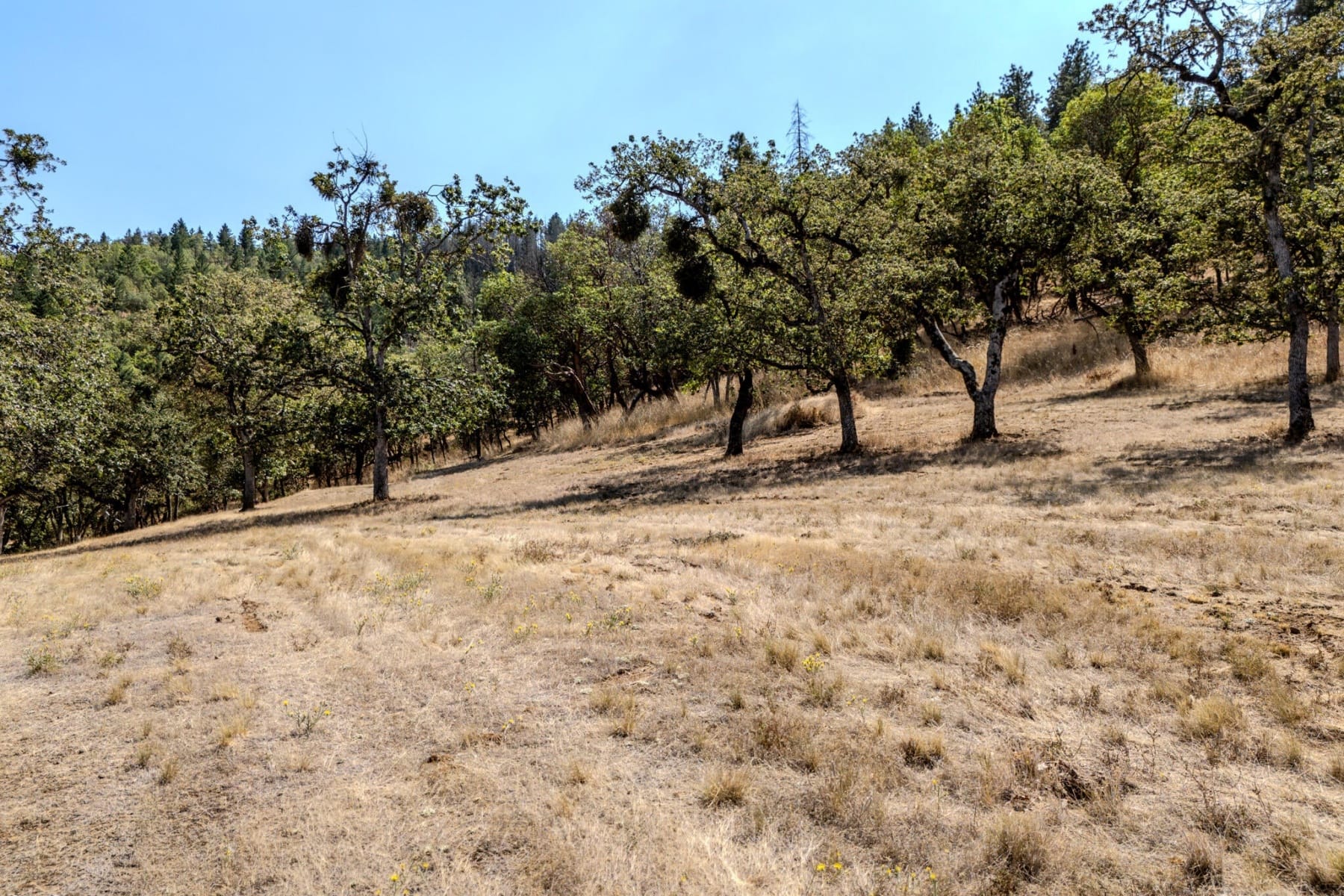  3575 S Stage Road #Lot 6 Medford, OR 97501 - 物件實景