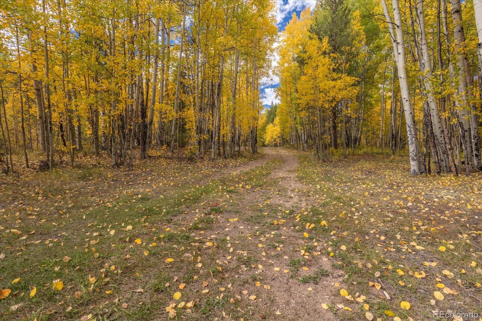 Twin Lakes, Colorado, 81251, United States, ,Land,For Sale,1975284