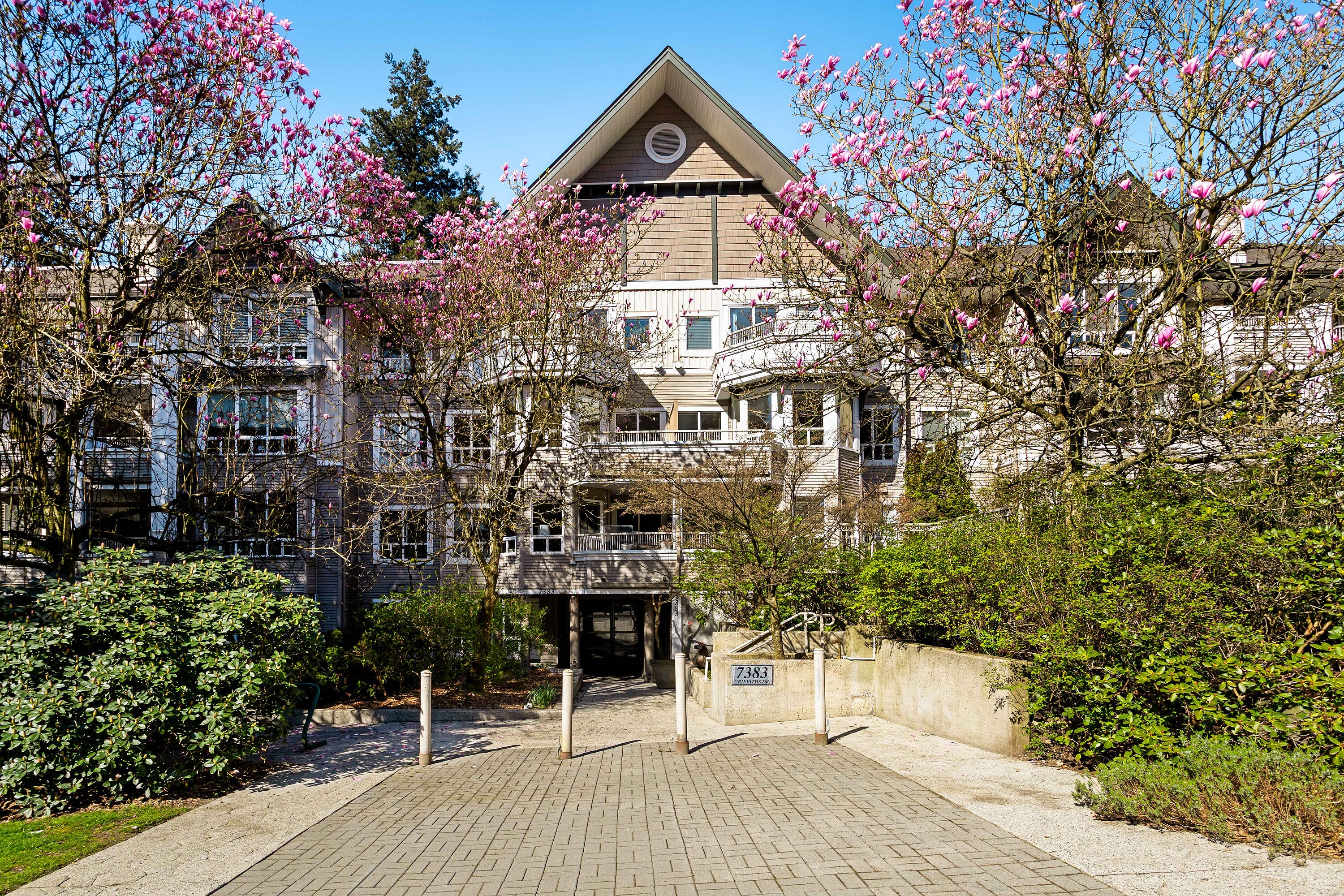  Burnaby One Bed and Den - 物件實景