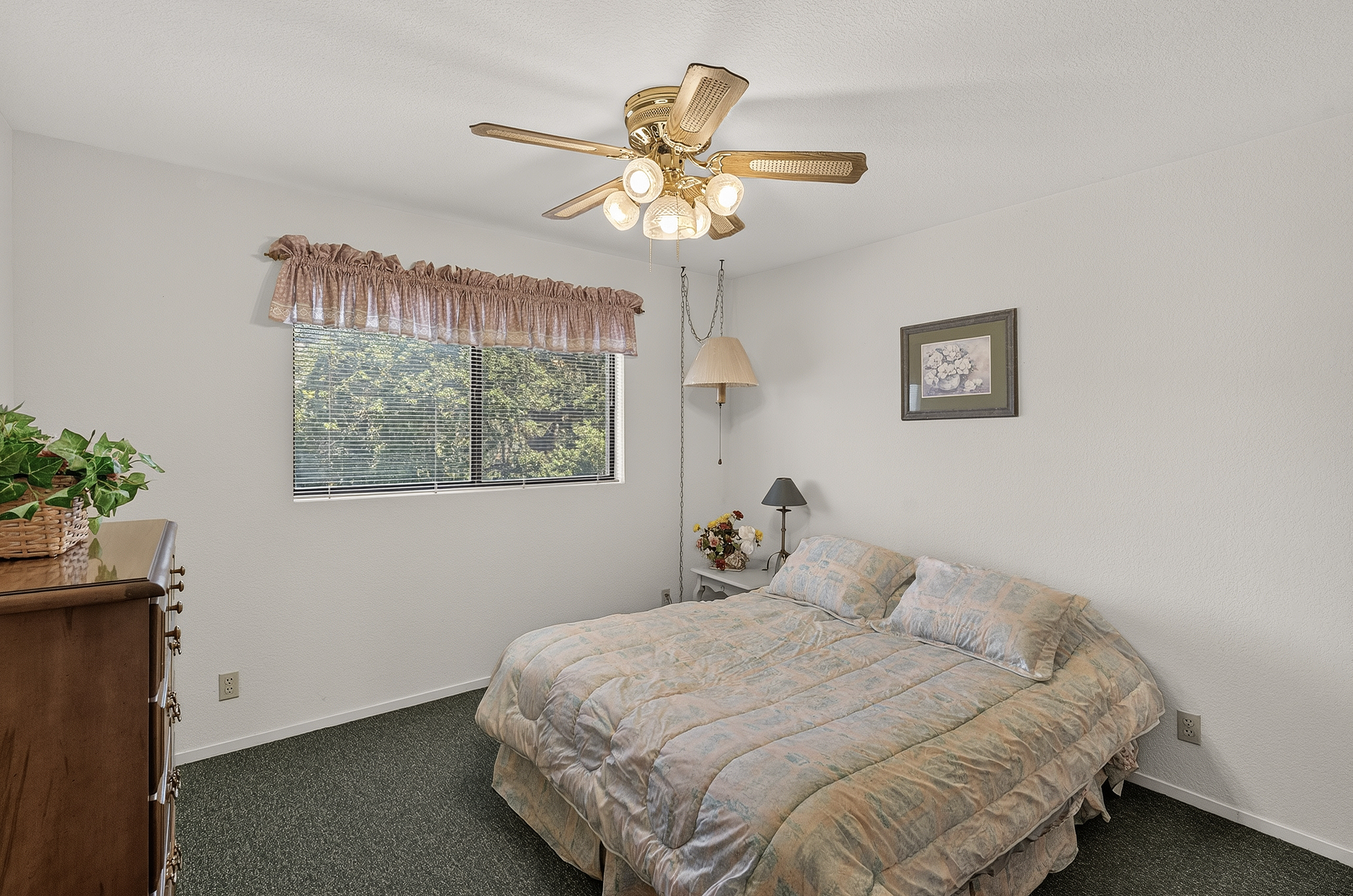  2537 Shoreline Road, Bradley - 物件實景