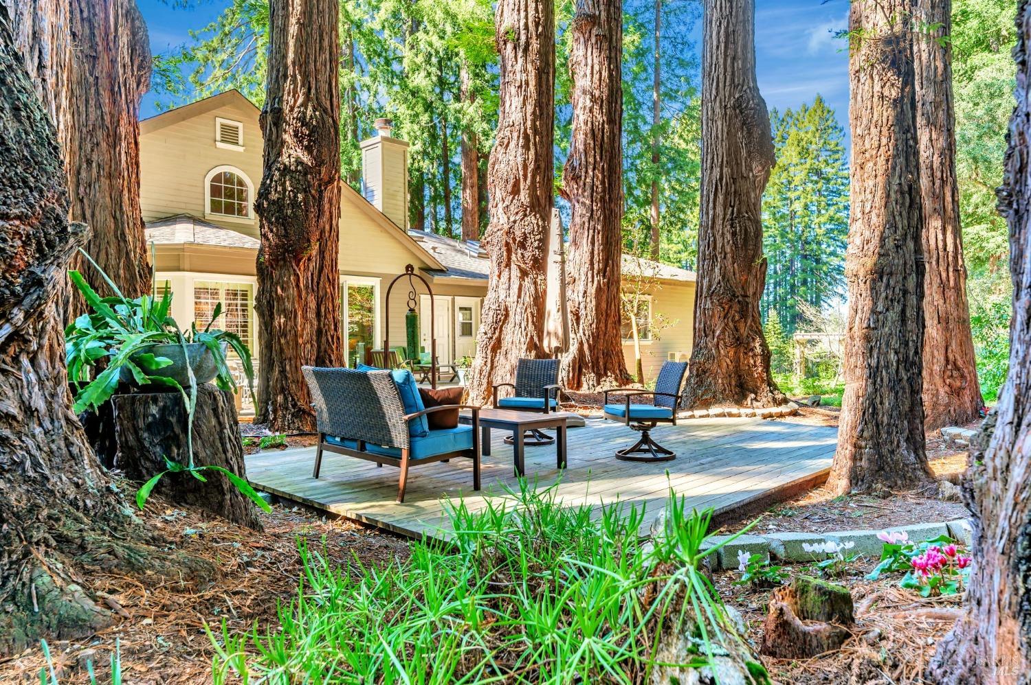 Sebastopol, California, 95472, United States, 4 Bedrooms Bedrooms, ,3 BathroomsBathrooms,Residential,For Sale,1989317