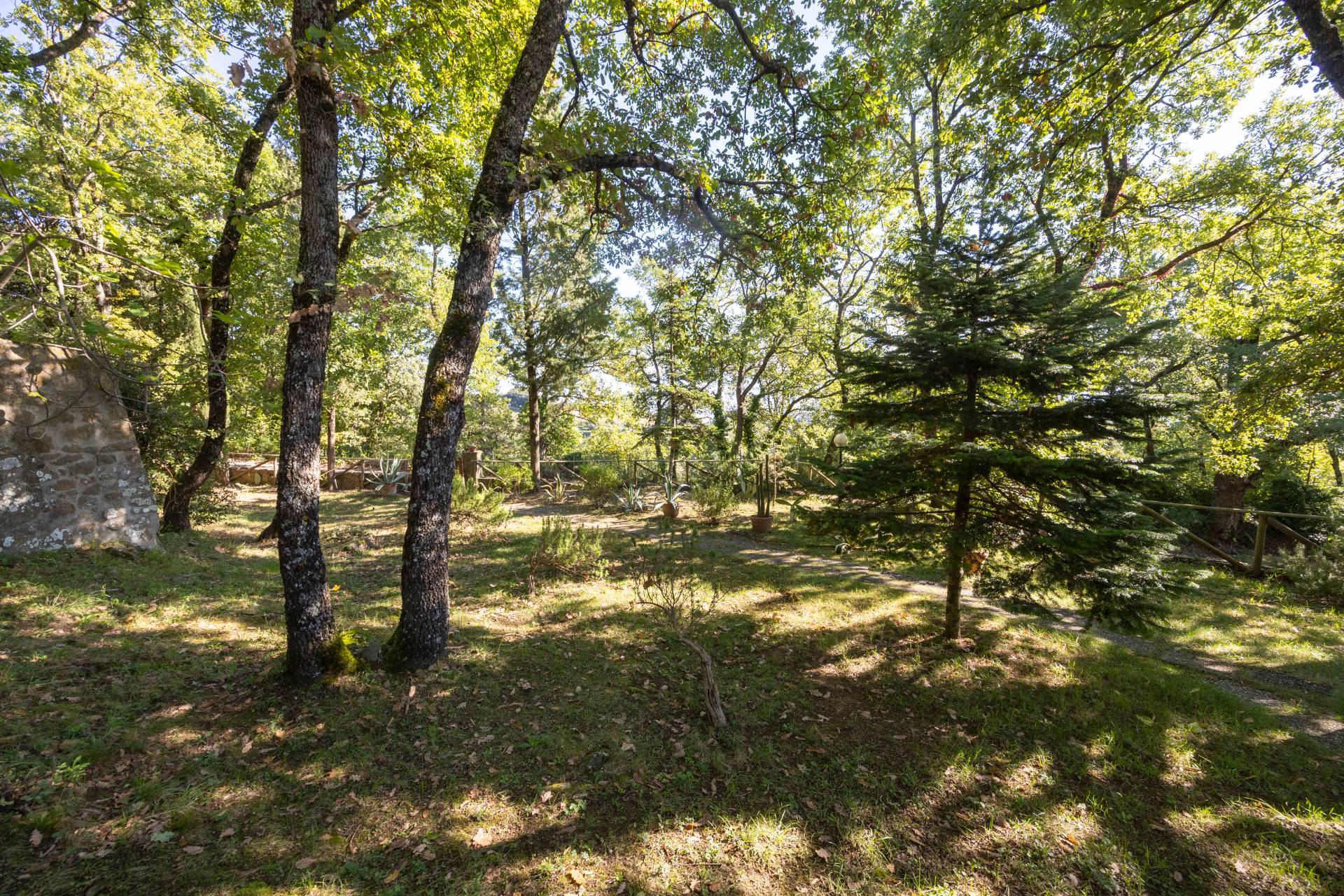 Montalcino, Siena, 53024, IT, ,Residential,For Sale,1991815