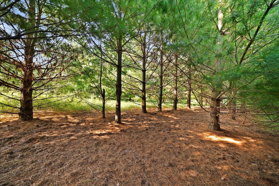 Rhine, Wisconsin, 53020, United States, ,Land,For Sale,1983397