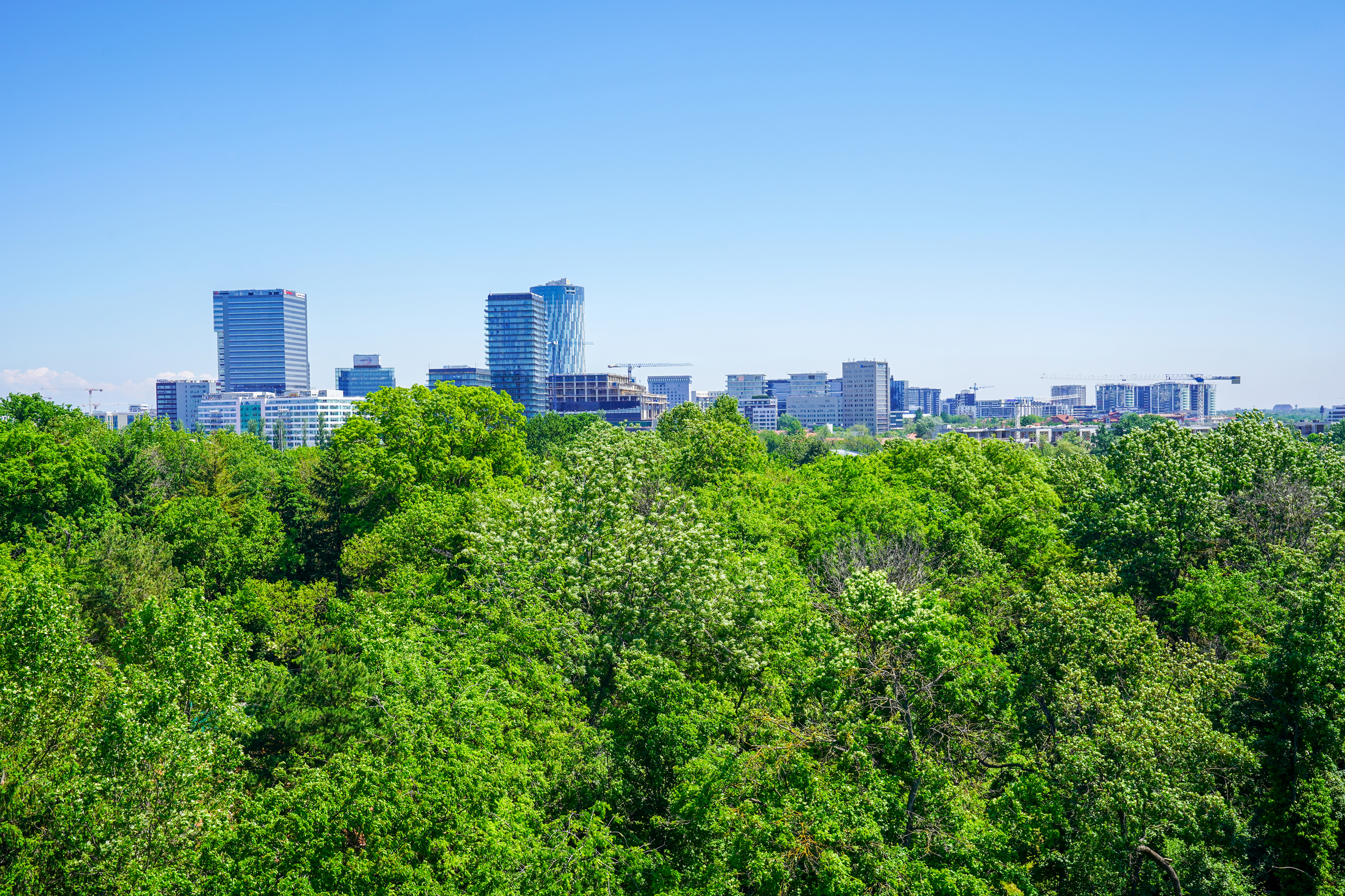  The Crown of Primaverii - Penthouse Overlooking the Park, Lake and the Open Sky - 物件實景
