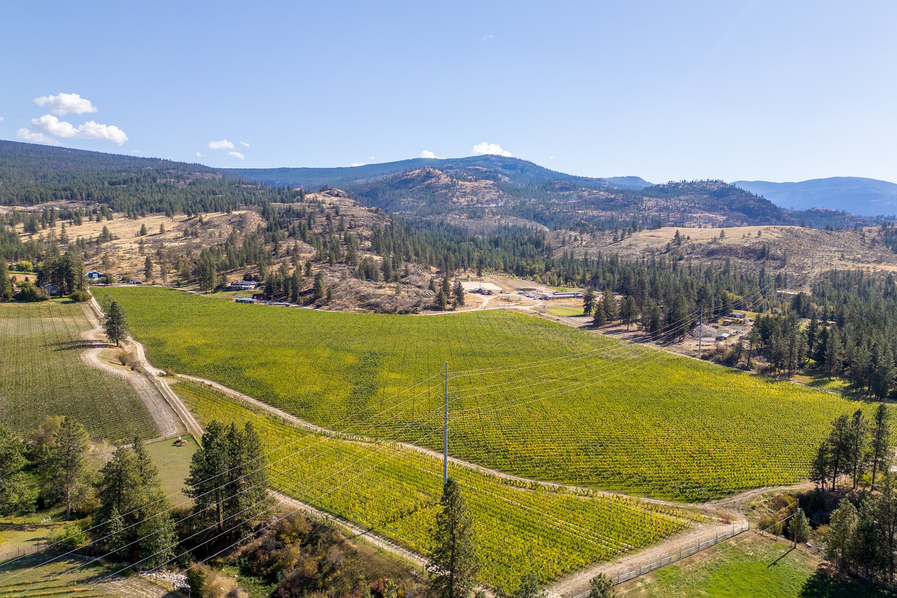  Vineyard in Okanagan Falls - 物件實景
