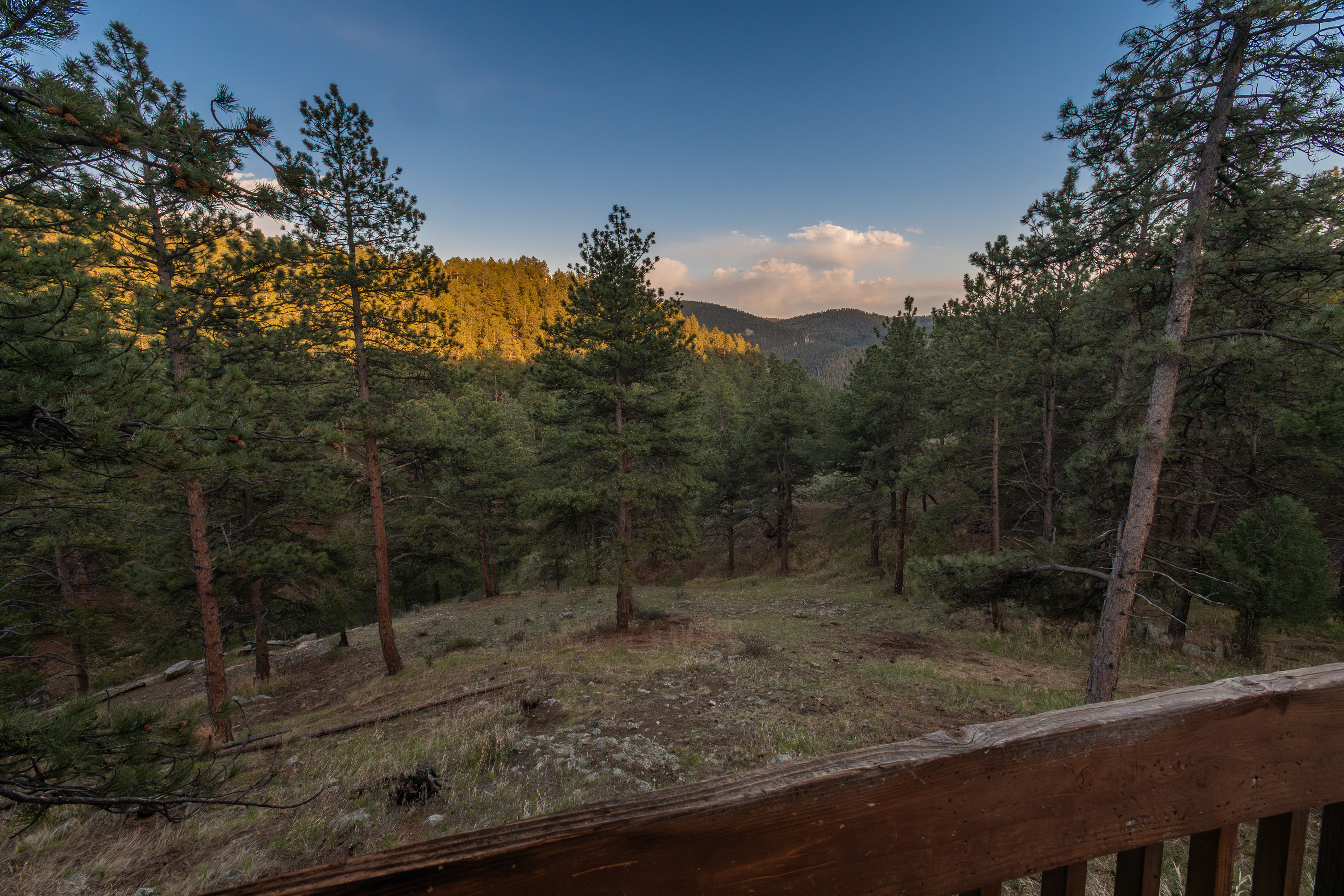 Ranch-style Custom Home on 1.16 Acre Sunny and Treed Lot in Genesee - 物件實景