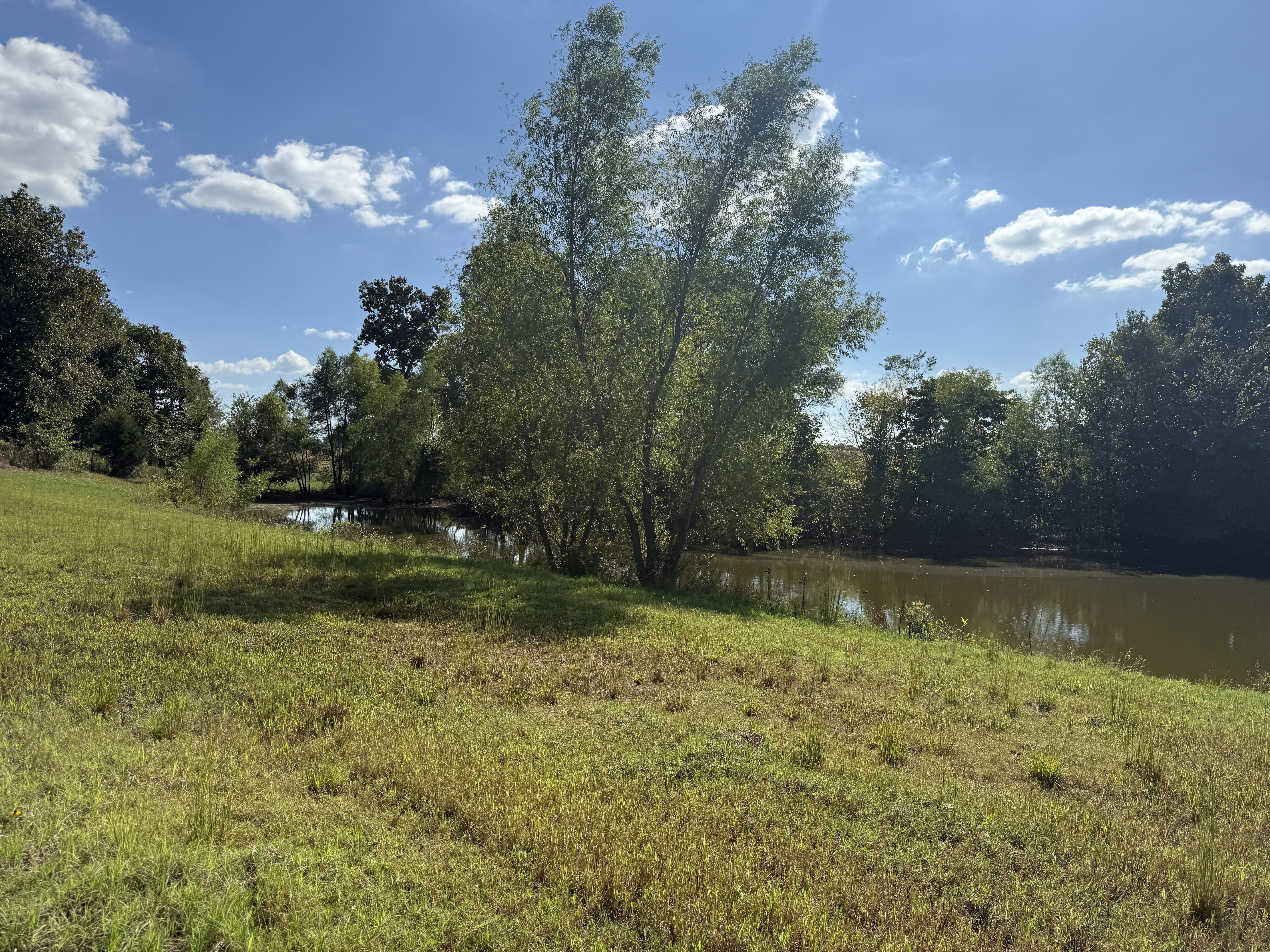Union City, Tennessee, 38261, United States, ,Land,For Sale,1983547