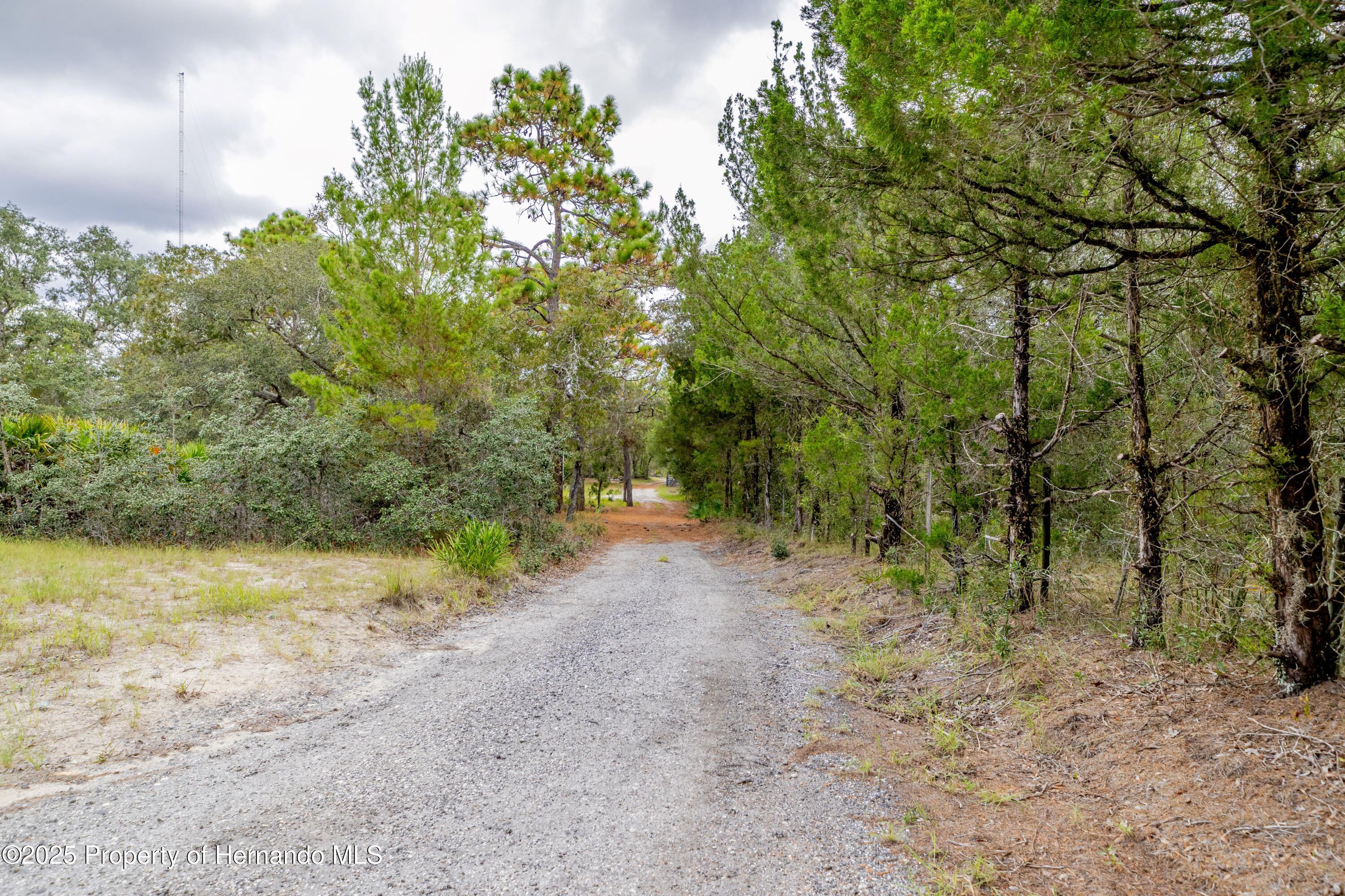 Brooksville, Florida, 34613, United States, 4 Bedrooms Bedrooms, ,2 BathroomsBathrooms,Residential,For Sale,1975088