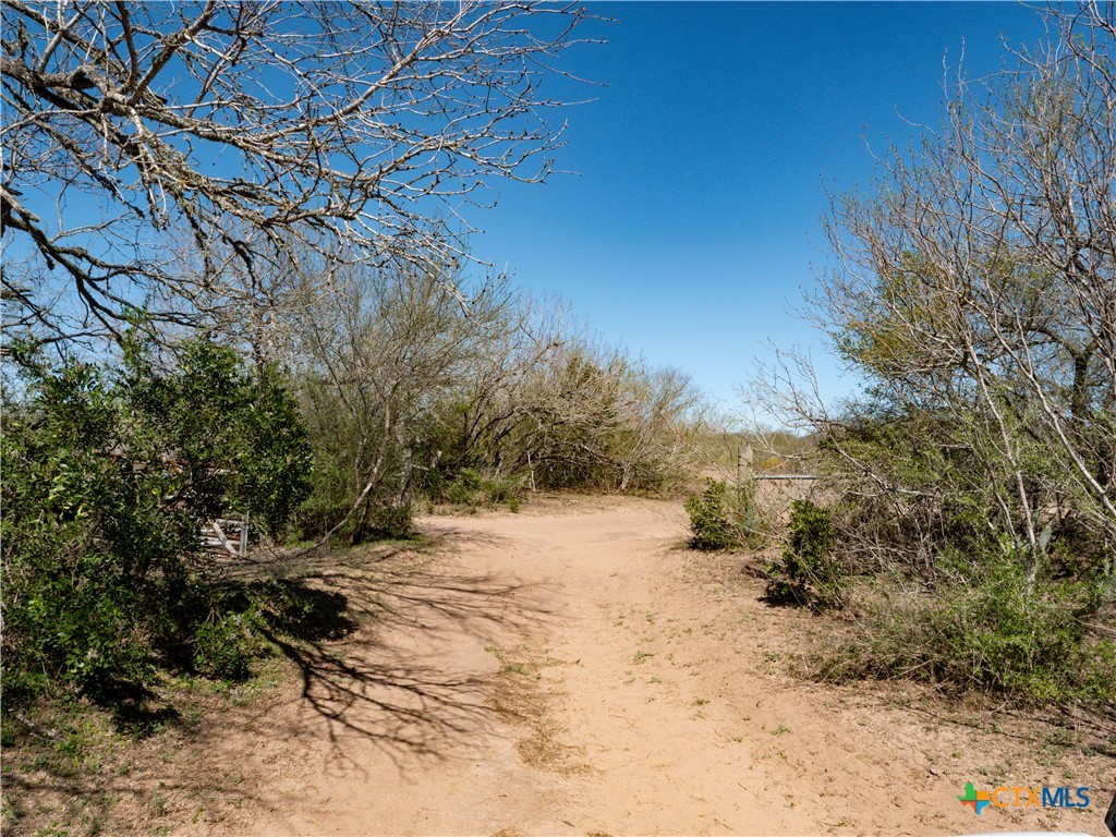 George West, Texas, 78022, United States, ,Land,For Sale,1738703