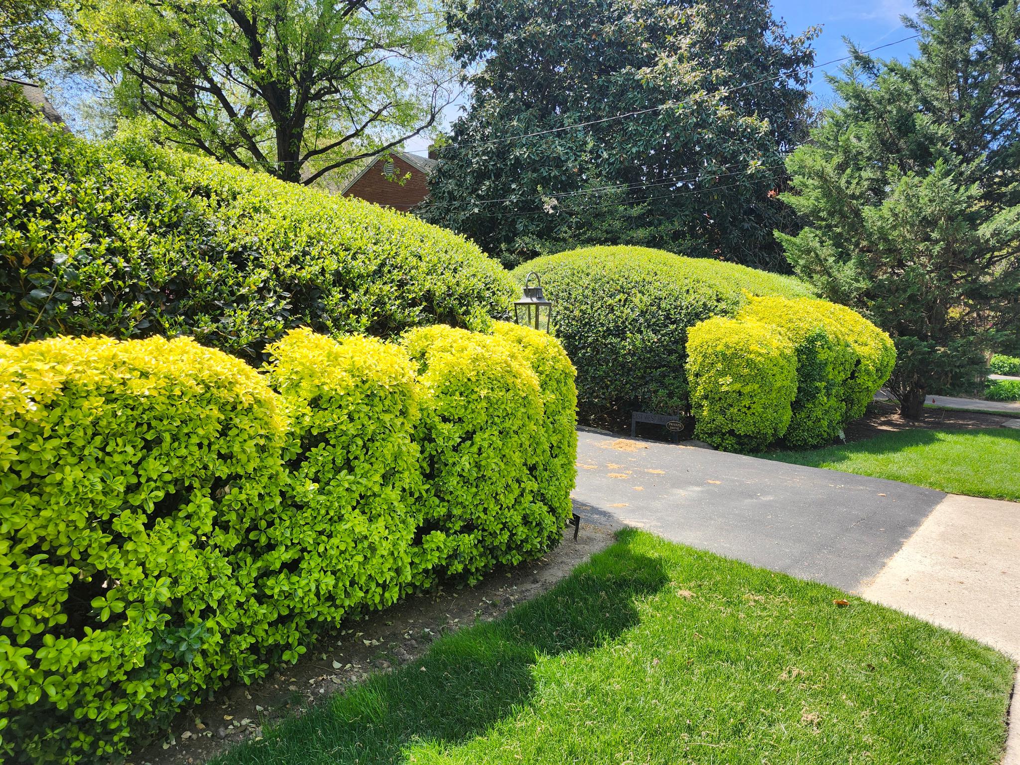  3610 East West Highway 3610, Chevy Chase, MD, 20815 - 物件實景