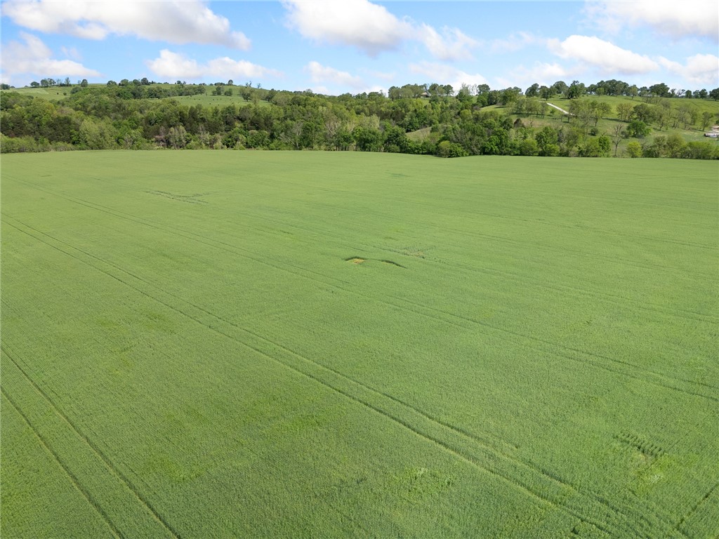 Alpena, Arkansas, 72611, United States, ,Land,For Sale,1903921