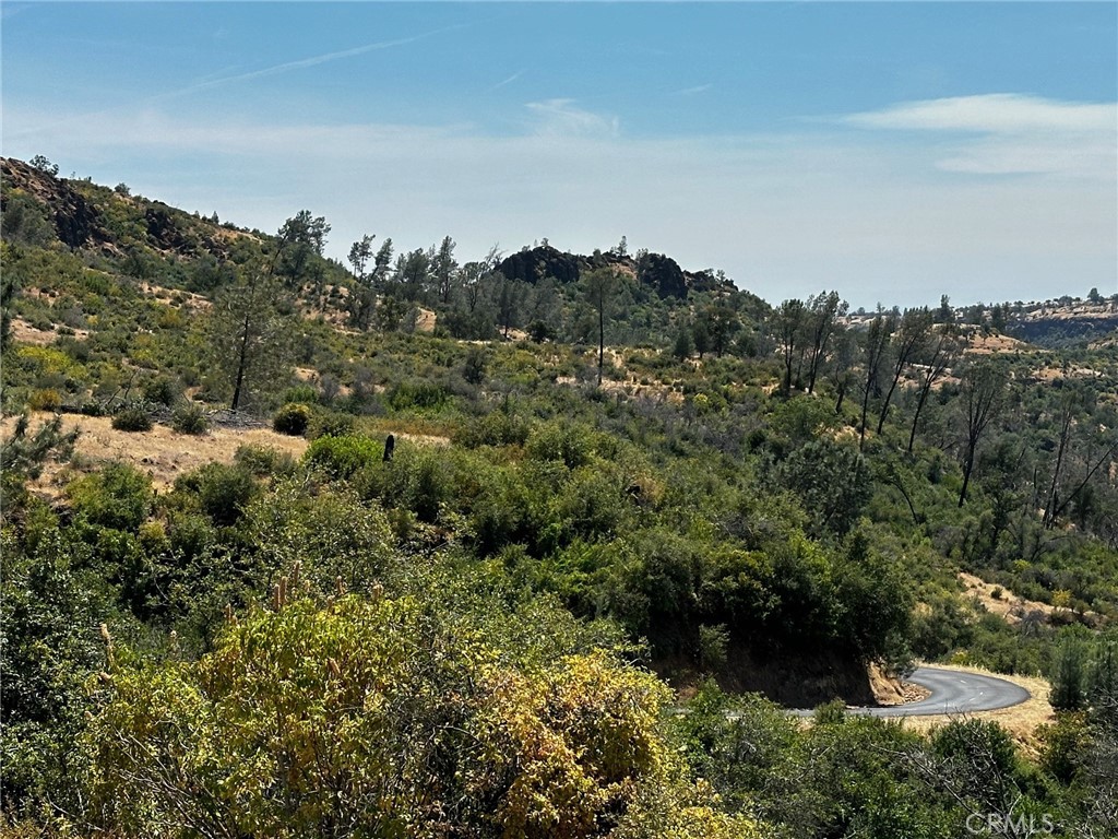 Chico, California, 95928, United States, ,Land,For Sale,1974273