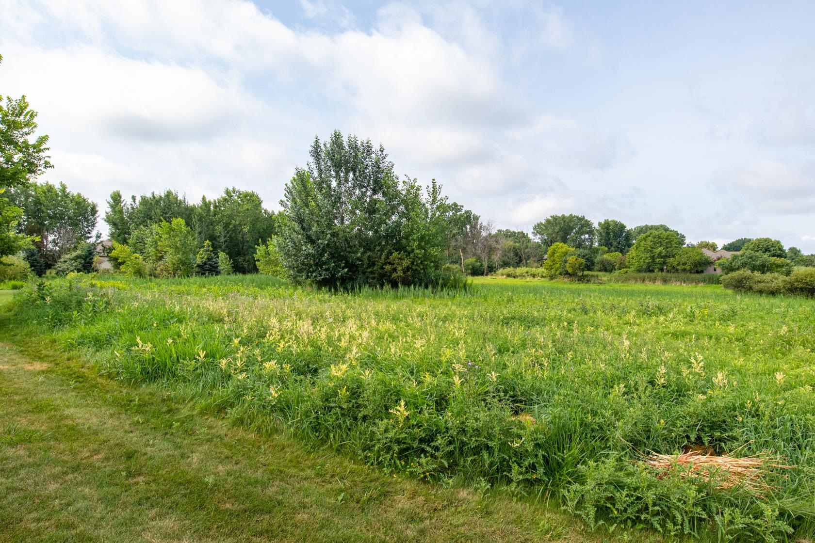 Appleton, Wisconsin, 54913, United States, 5 Bedrooms Bedrooms, ,4 BathroomsBathrooms,Residential,For Sale,1927956