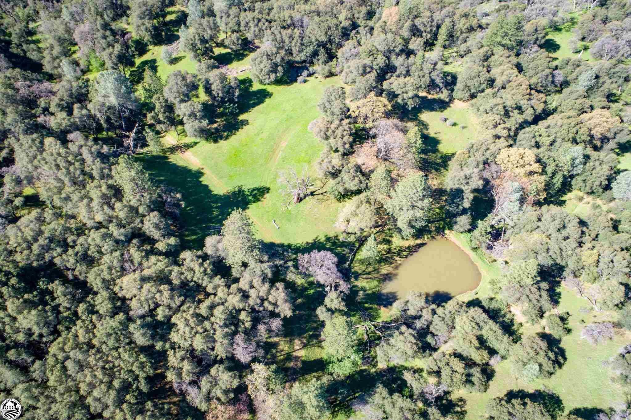 16551 Wards Ferry Rd, Big Oak Flat, California, 95305, United States, ,Land,For Sale,16551 Wards Ferry Rd,1554958