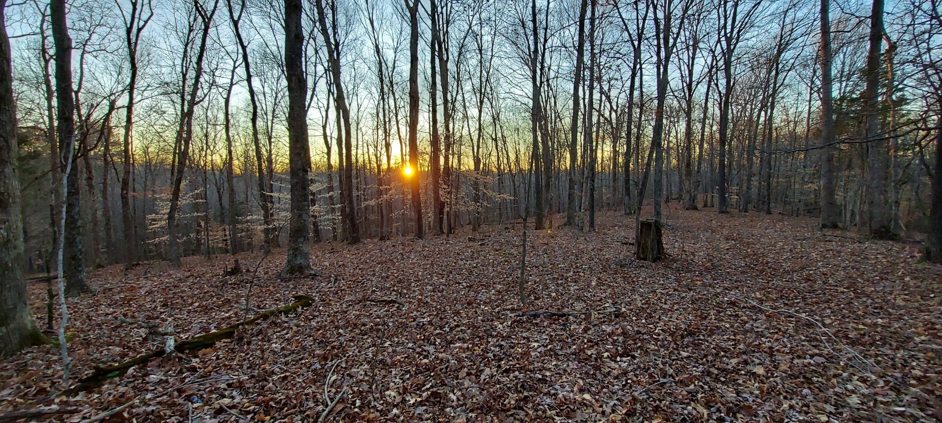 Cunningham, Tennessee, 37052, United States, ,Residential,For Sale,1920443