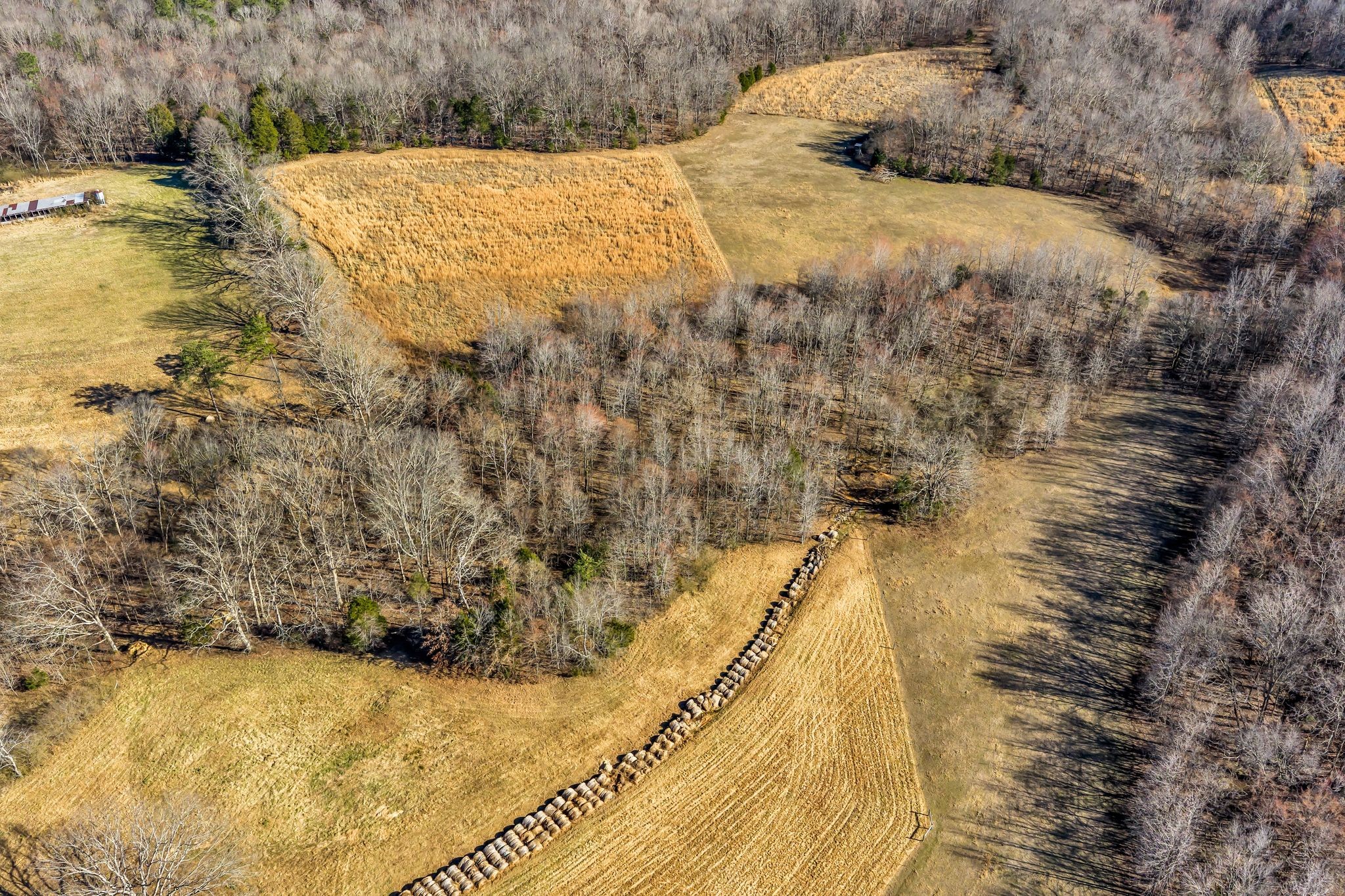  2340 Ridge Road, McEwen, TN 37101 - 物件實景