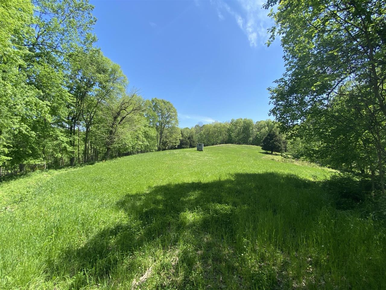 Franklin, Kentucky, 42134, United States, 5 Bedrooms Bedrooms, ,3 BathroomsBathrooms,Residential,For Sale,1903592