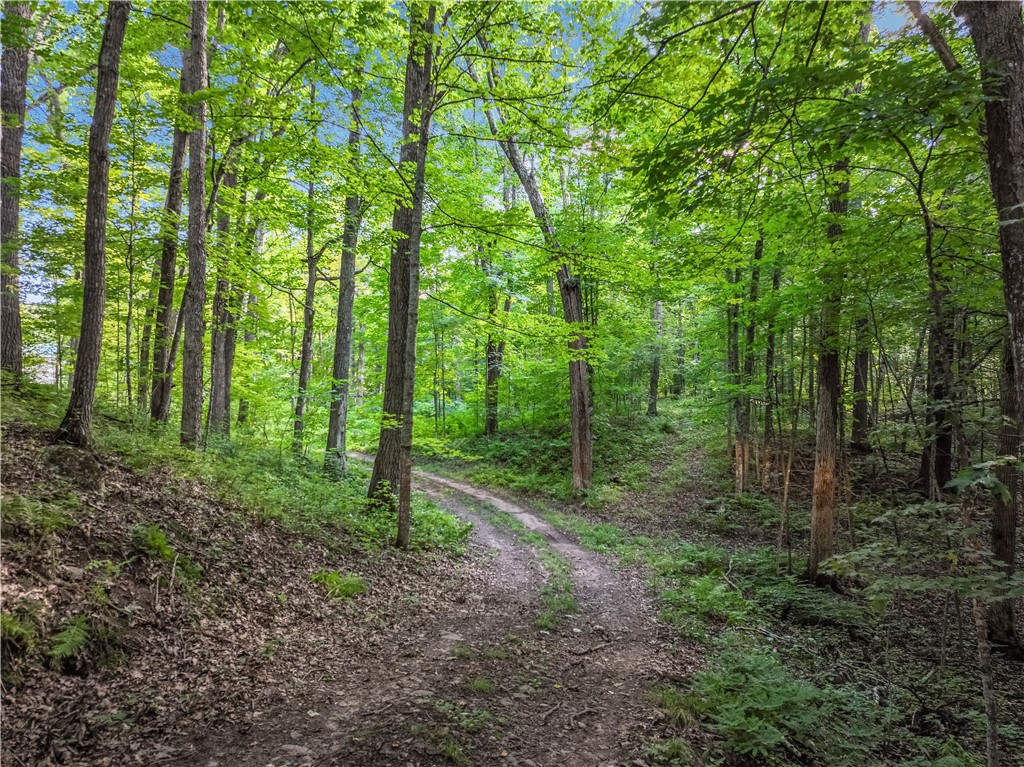 Chetek, Wisconsin, 54728, United States, 2 Bedrooms Bedrooms, ,2 BathroomsBathrooms,Residential,For Sale,1939272