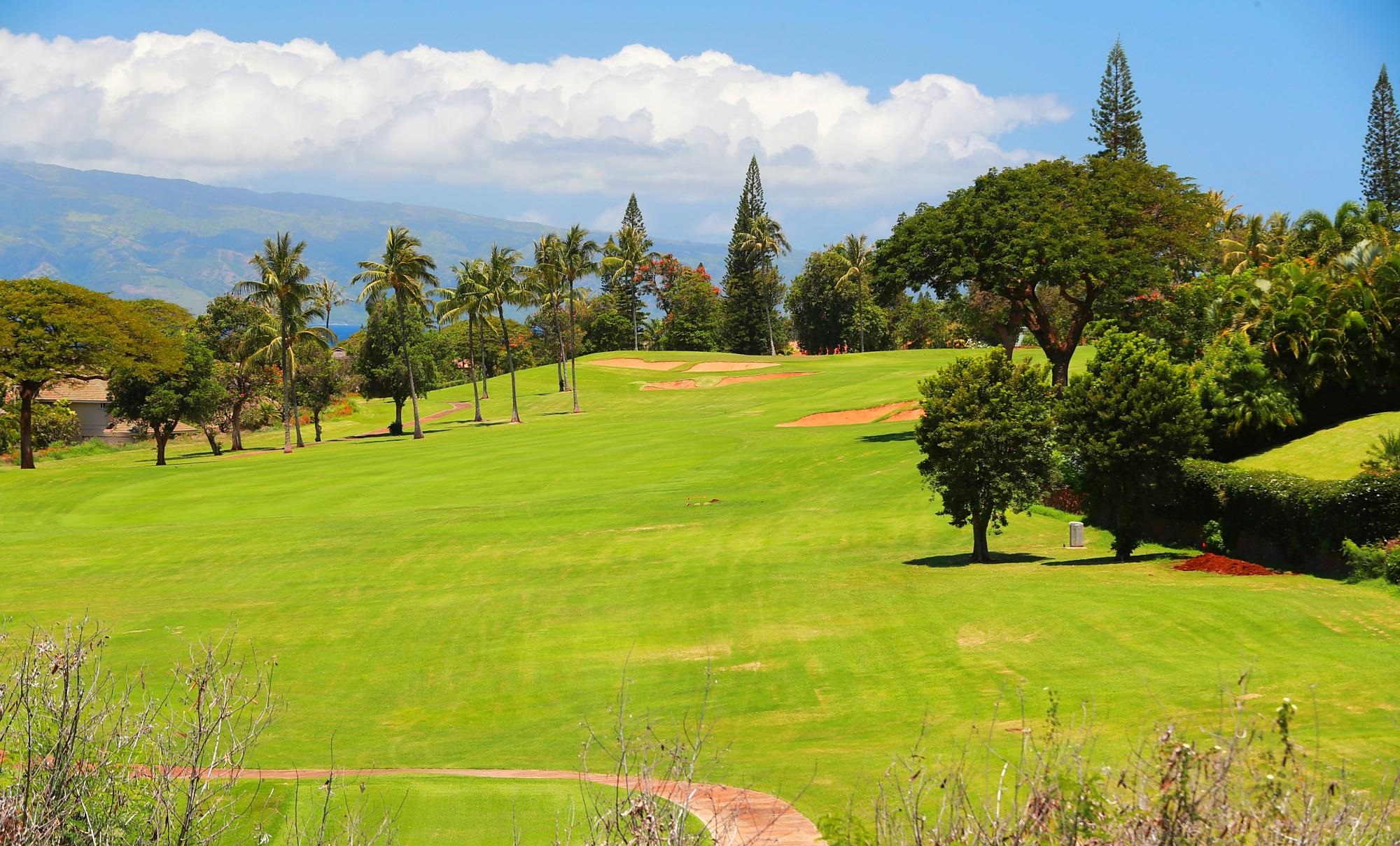 Lahaina, Hawaii, 96761, United States, ,Land,For Sale,1895971
