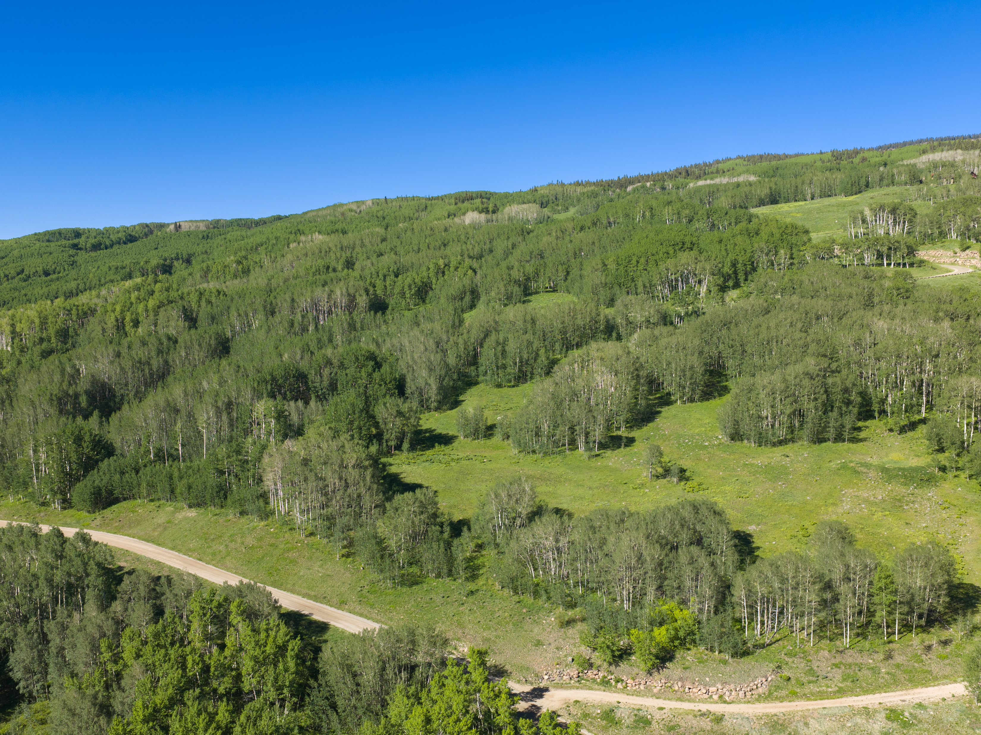  2177 Aspen Mountain Road - 物件實景