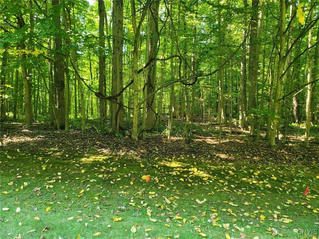 Phoenix, New York, 13135, United States, 3 Bedrooms Bedrooms, ,3 BathroomsBathrooms,Residential,For Sale,1996812