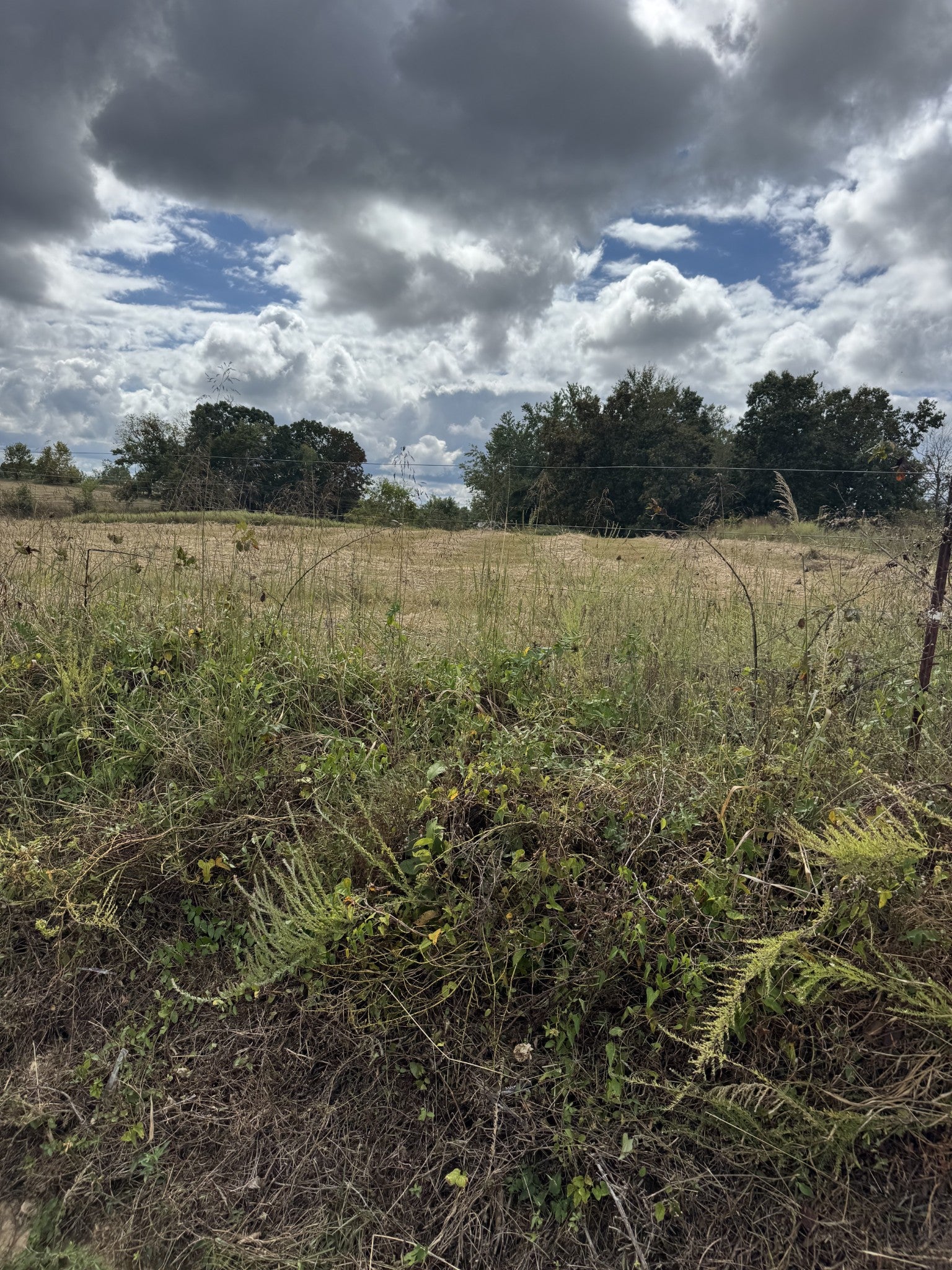 Perrigo Ln, Lafayette, TN 37083 #1