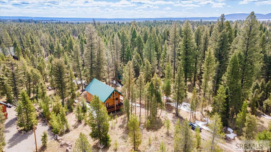 Island Park, Idaho, 83429, United States, 3 Bedrooms Bedrooms, ,2 BathroomsBathrooms,Residential,For Sale,1766025