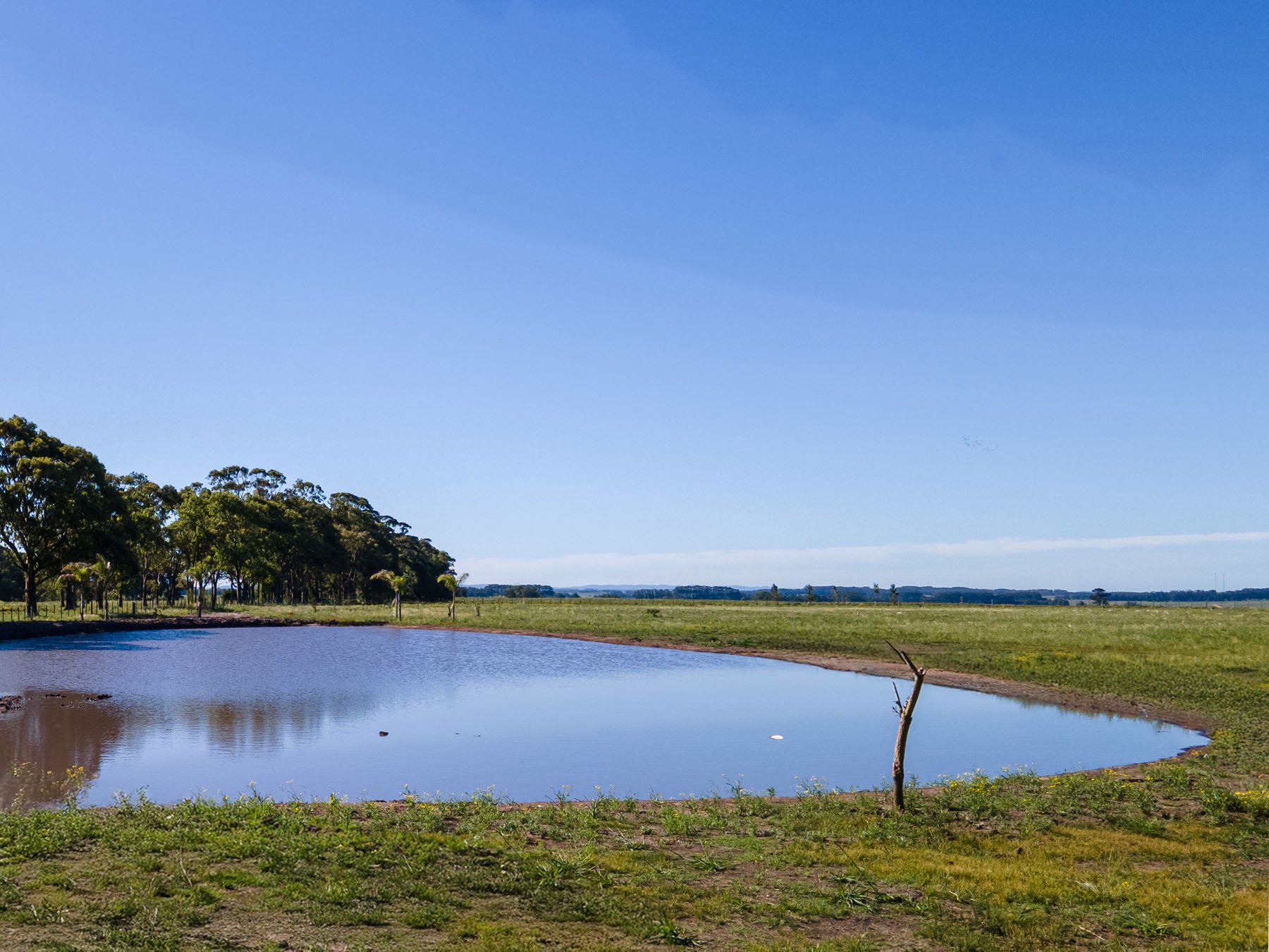  Farm in Las Portuguesas. - 物件實景