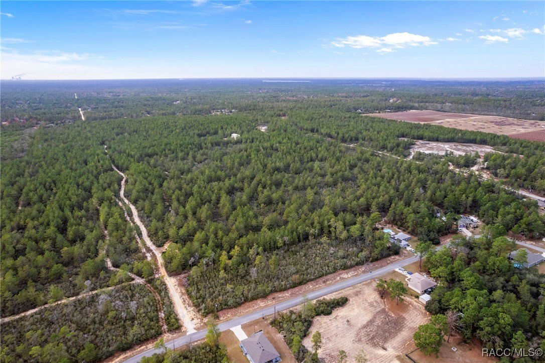 Dunnellon, Florida, 34433, United States, 4 Bedrooms Bedrooms, ,3 BathroomsBathrooms,Residential,For Sale,2008614