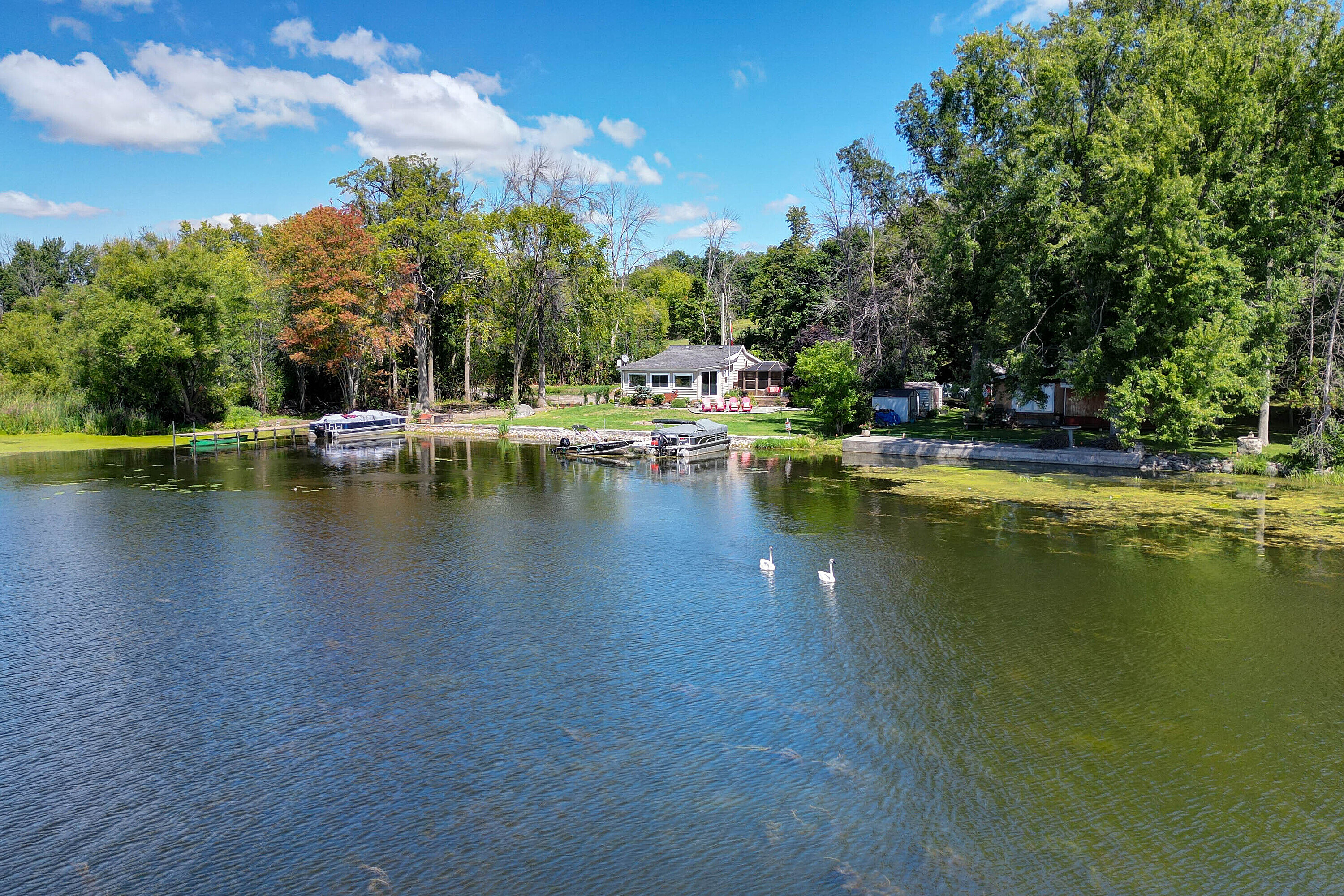  Bungalow on Trent River - 物件實景