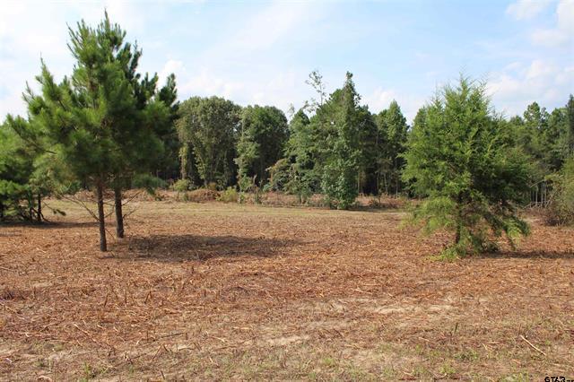 Henderson, Texas, 75652, United States, ,Land,For Sale,1978065