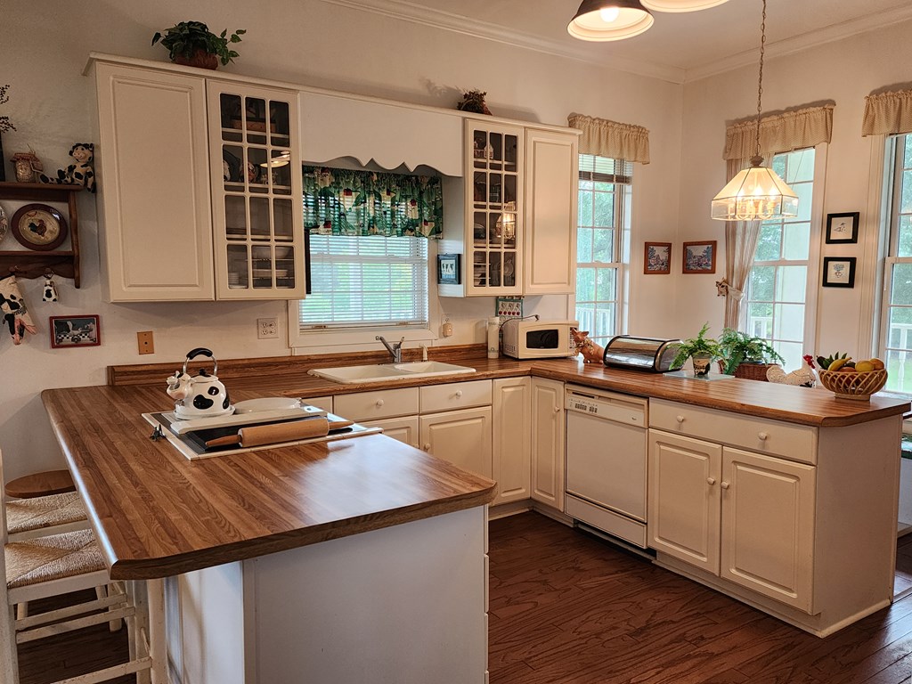 Pansey, Alabama, 36370, United States, 3 Bedrooms Bedrooms, ,3 BathroomsBathrooms,Residential,For Sale,1943922