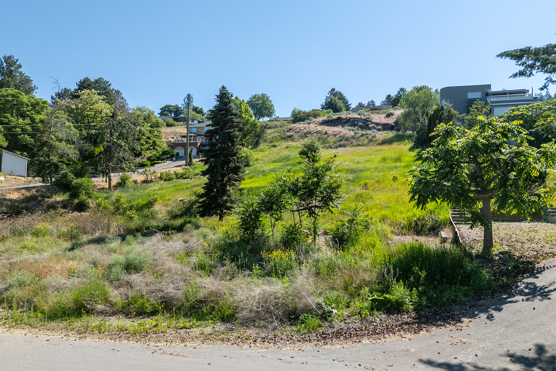  Rare Lot for Your Dream Home - 物件實景