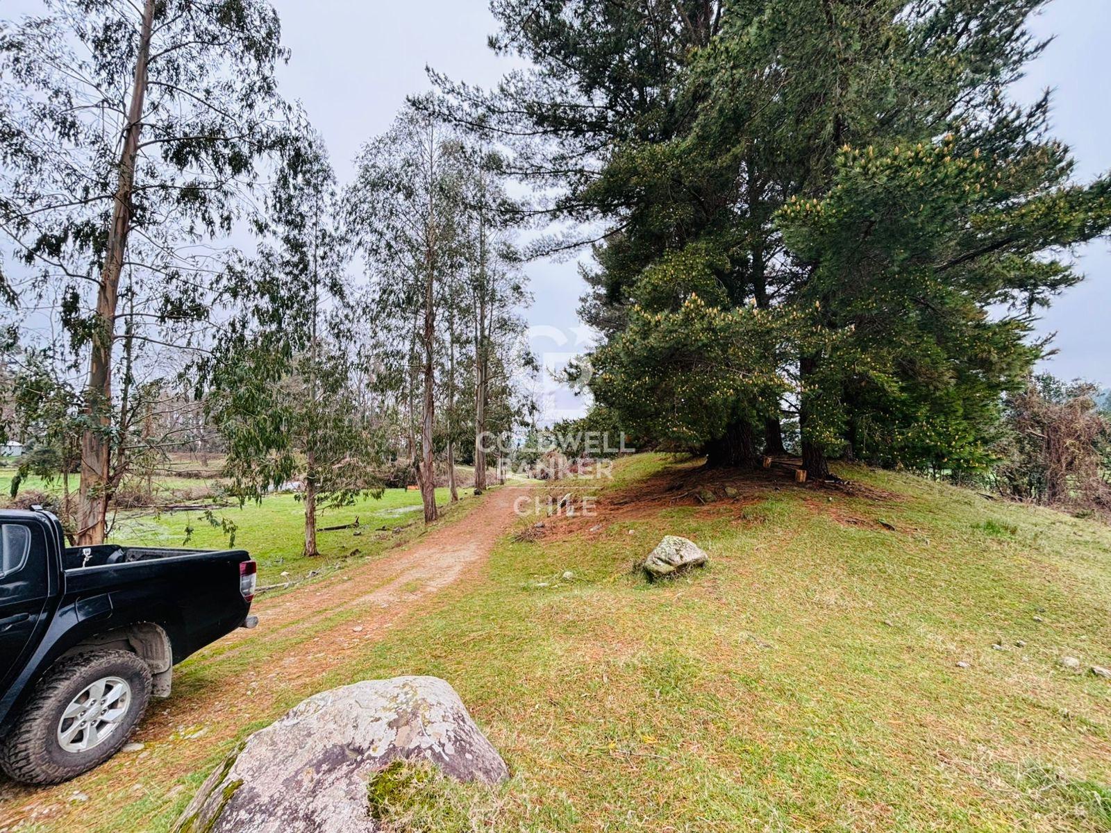 Futrono, Chile, ,Residential,For Sale,1934397