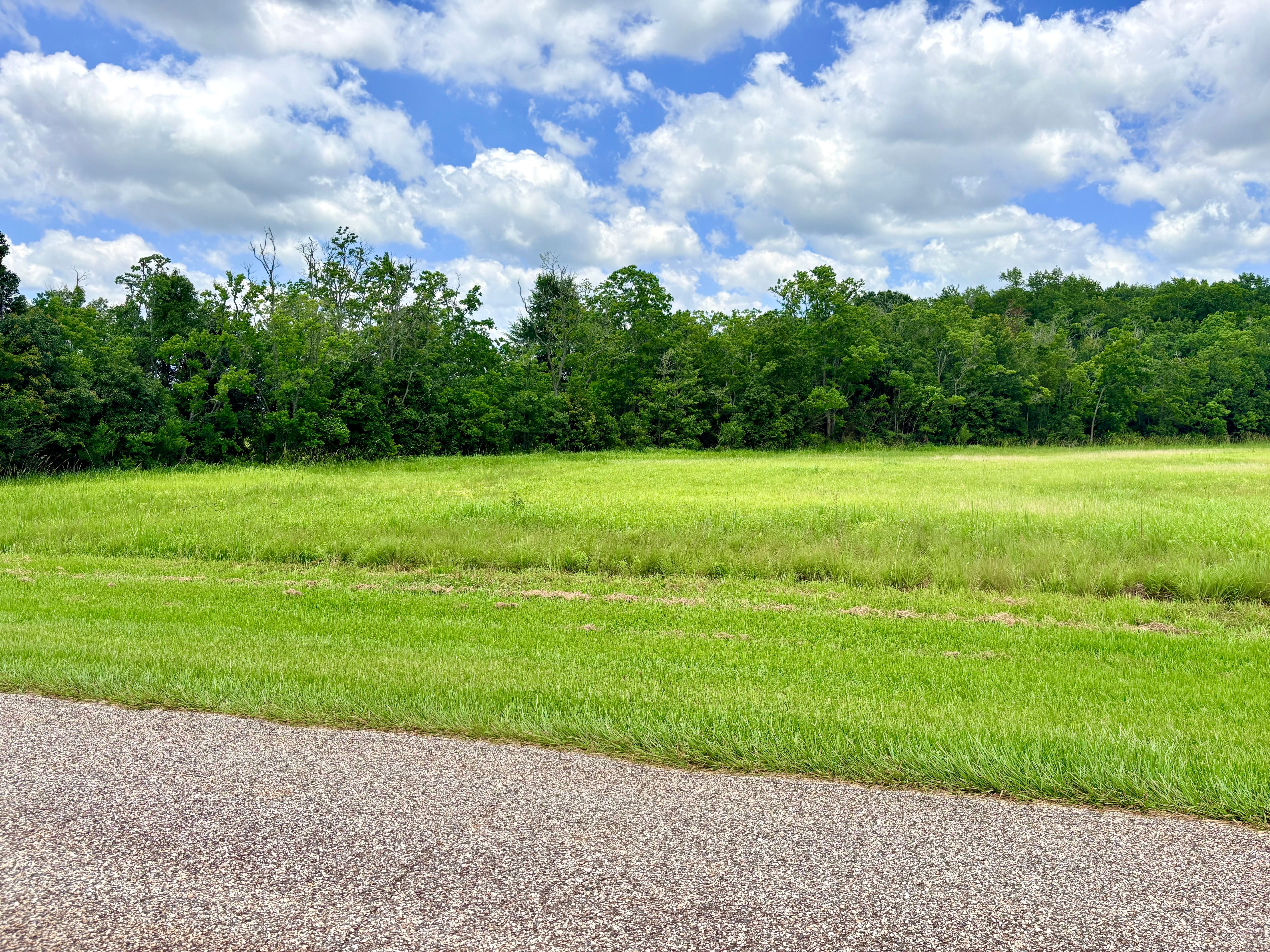County Road 36 