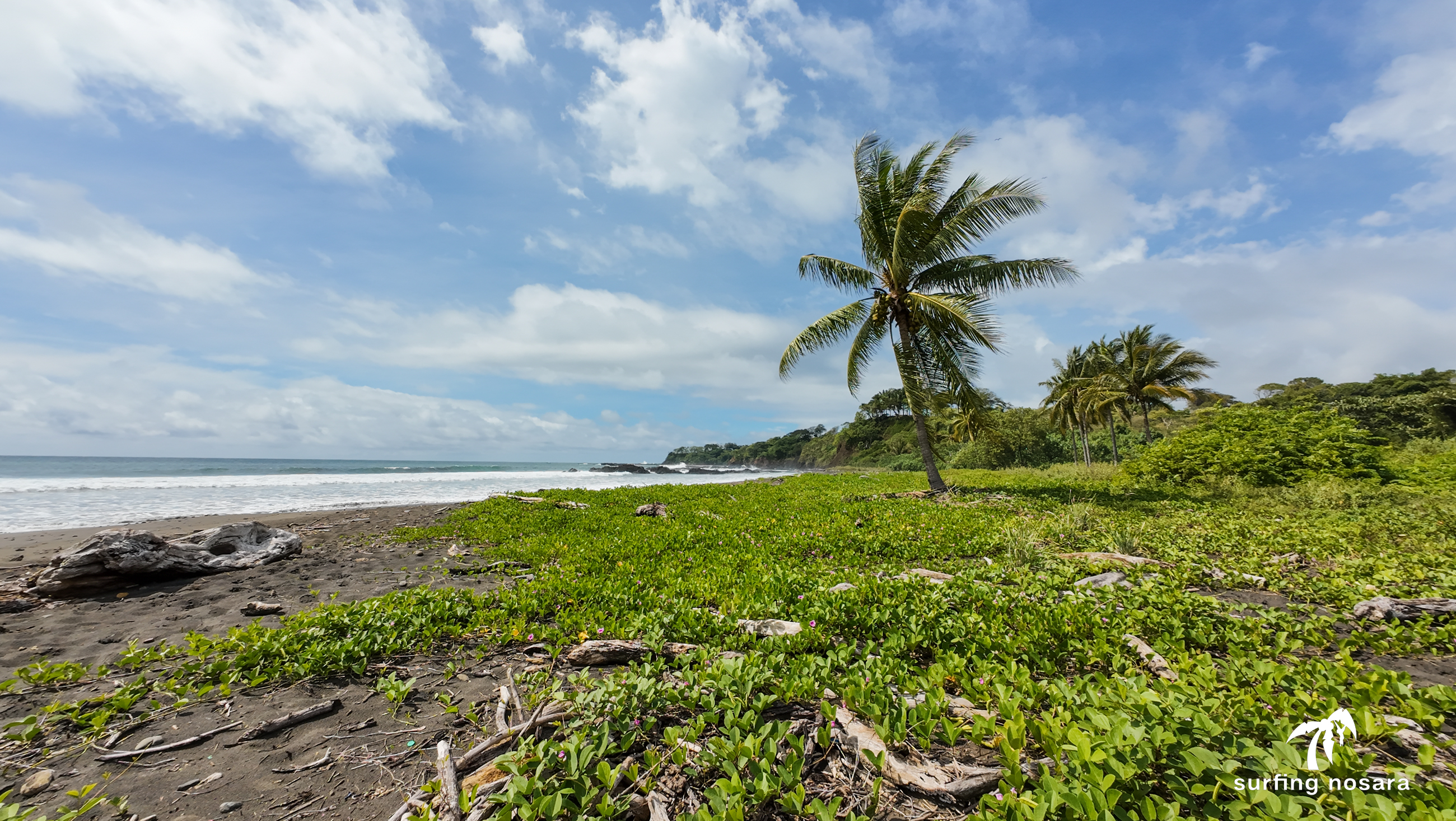 Nosara, Guanacaste, CR, ,Land,For Sale,1614160