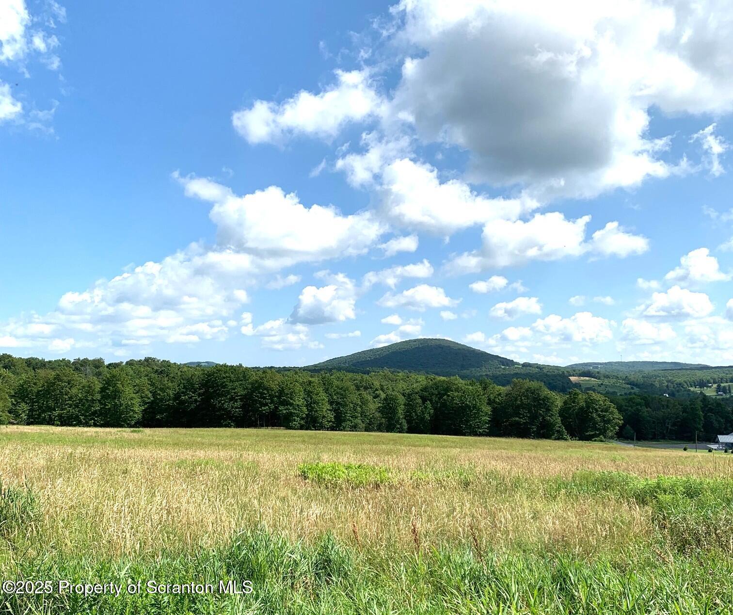 Union Dale, Pennsylvania, 18470, United States, ,Land,For Sale,1975755