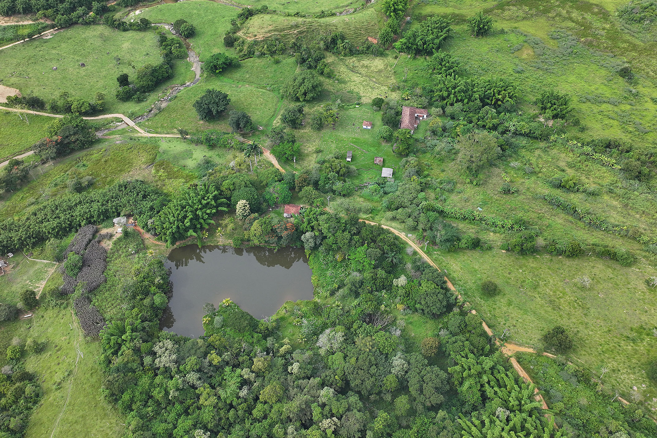  Historic estate with native forest, waterfalls, and ecotourism potential - 物件實景