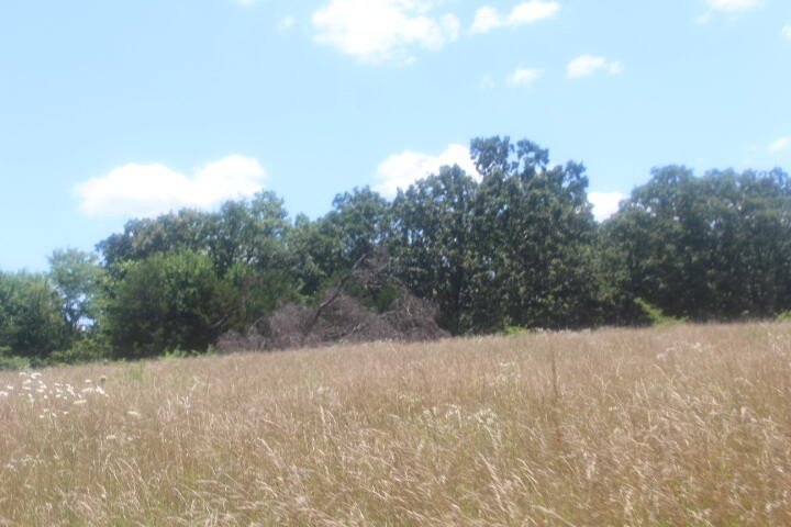 Polk, Missouri, 65727, United States, ,Land,For Sale,1980569