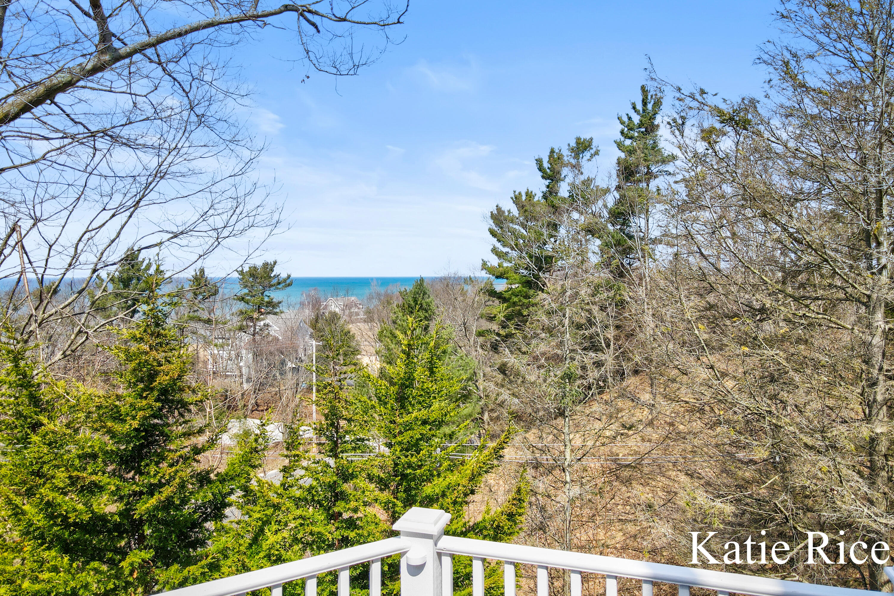 Whitehall, Michigan, 49461, United States, 4 Bedrooms Bedrooms, ,4 BathroomsBathrooms,Residential,For Sale,1779471