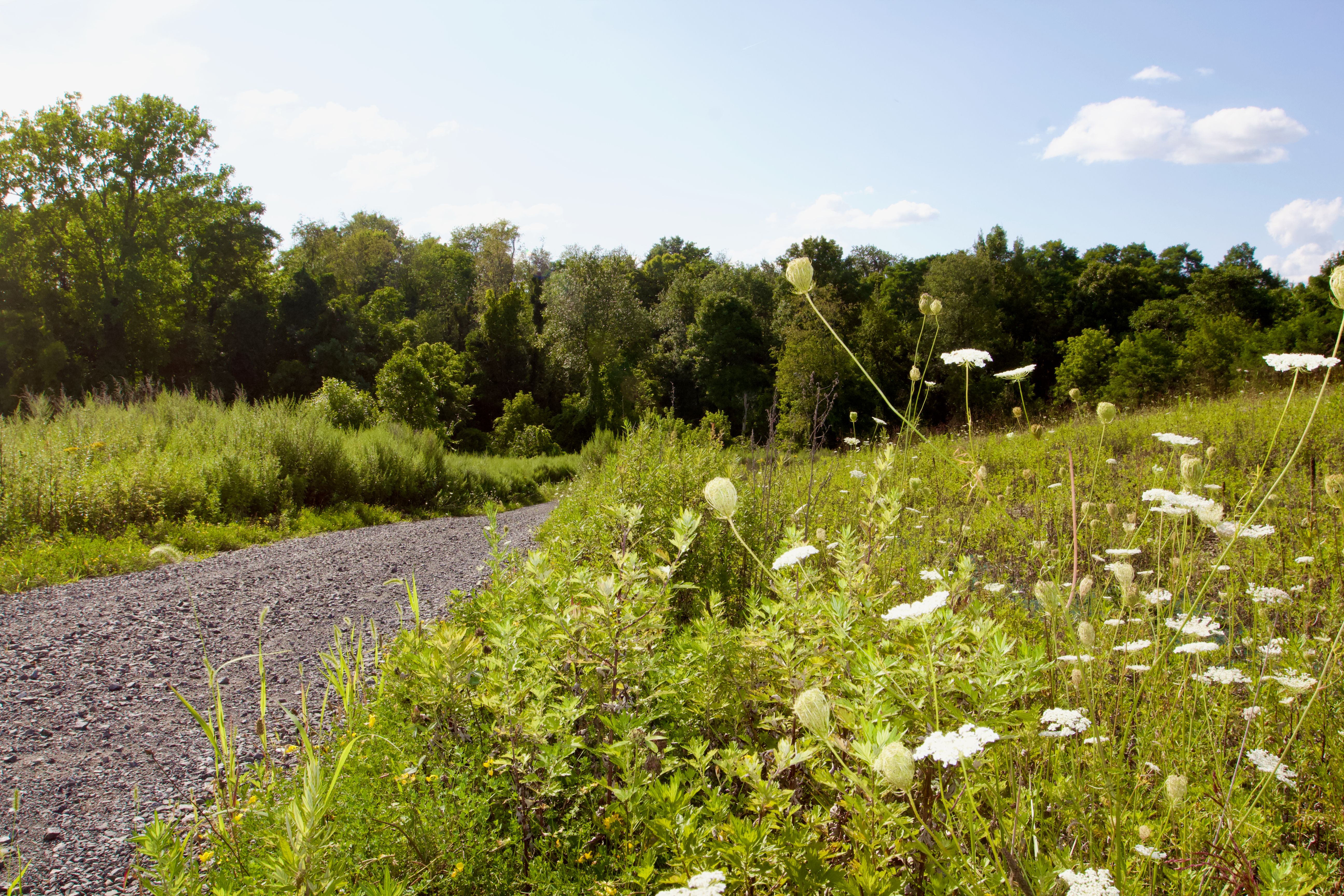  82 Turkey Hill Road, Clermont, NY 12571 - 物件實景