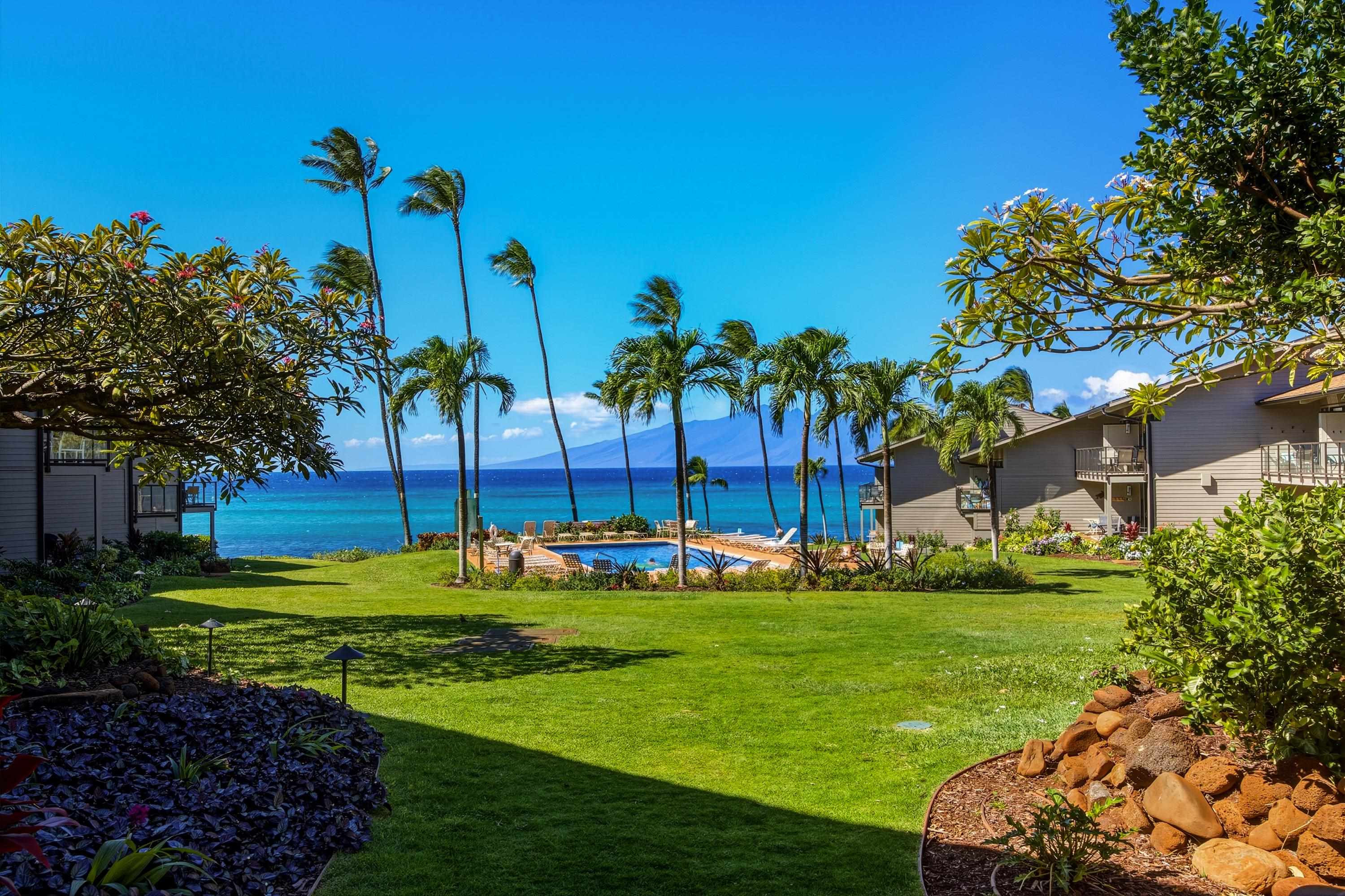 Lahaina, Hawaii, 96761, United States, 1 Bedroom Bedrooms, ,1 BathroomBathrooms,Residential,For Sale,1995975